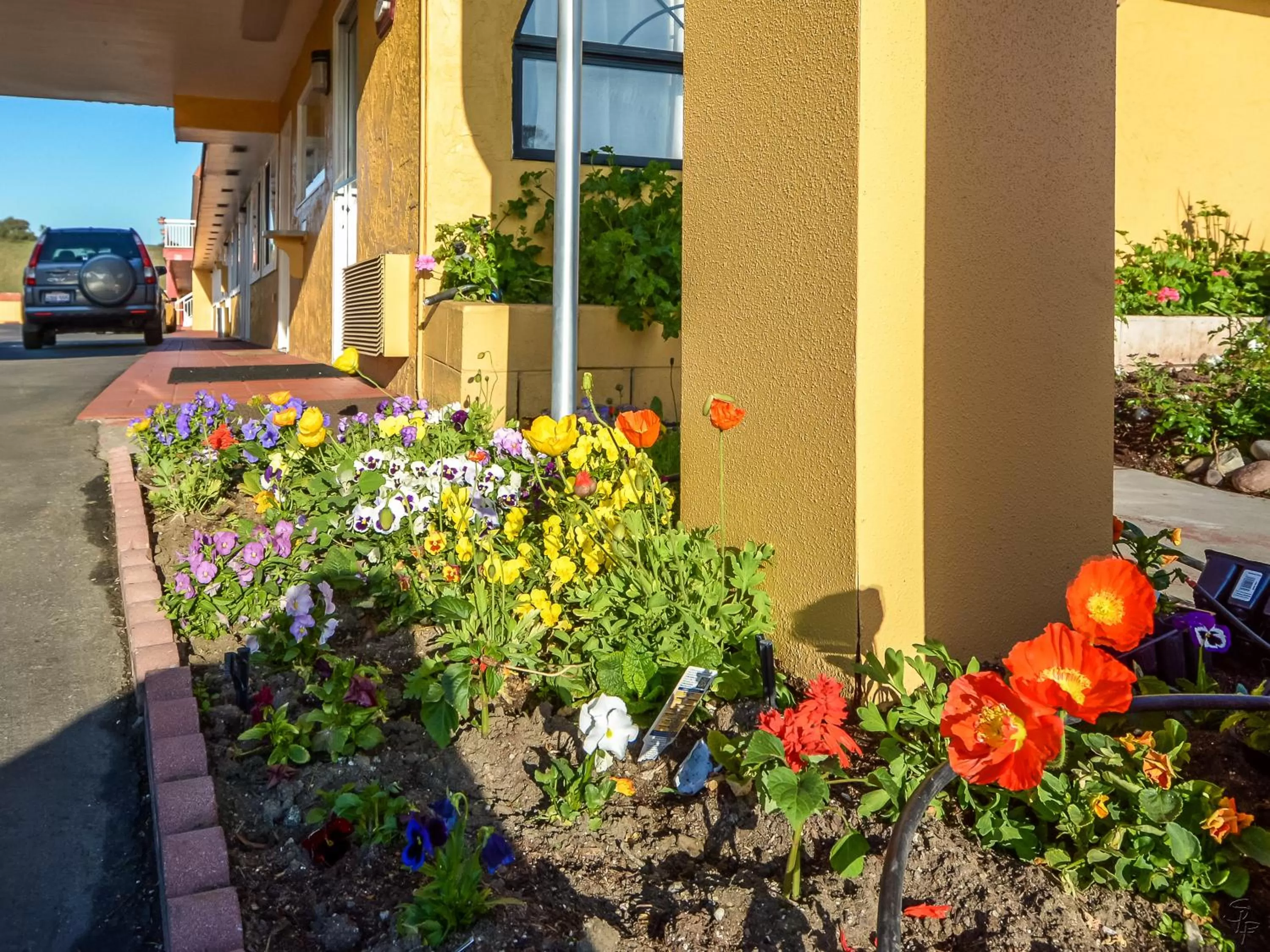 Property building in Hollister Inn