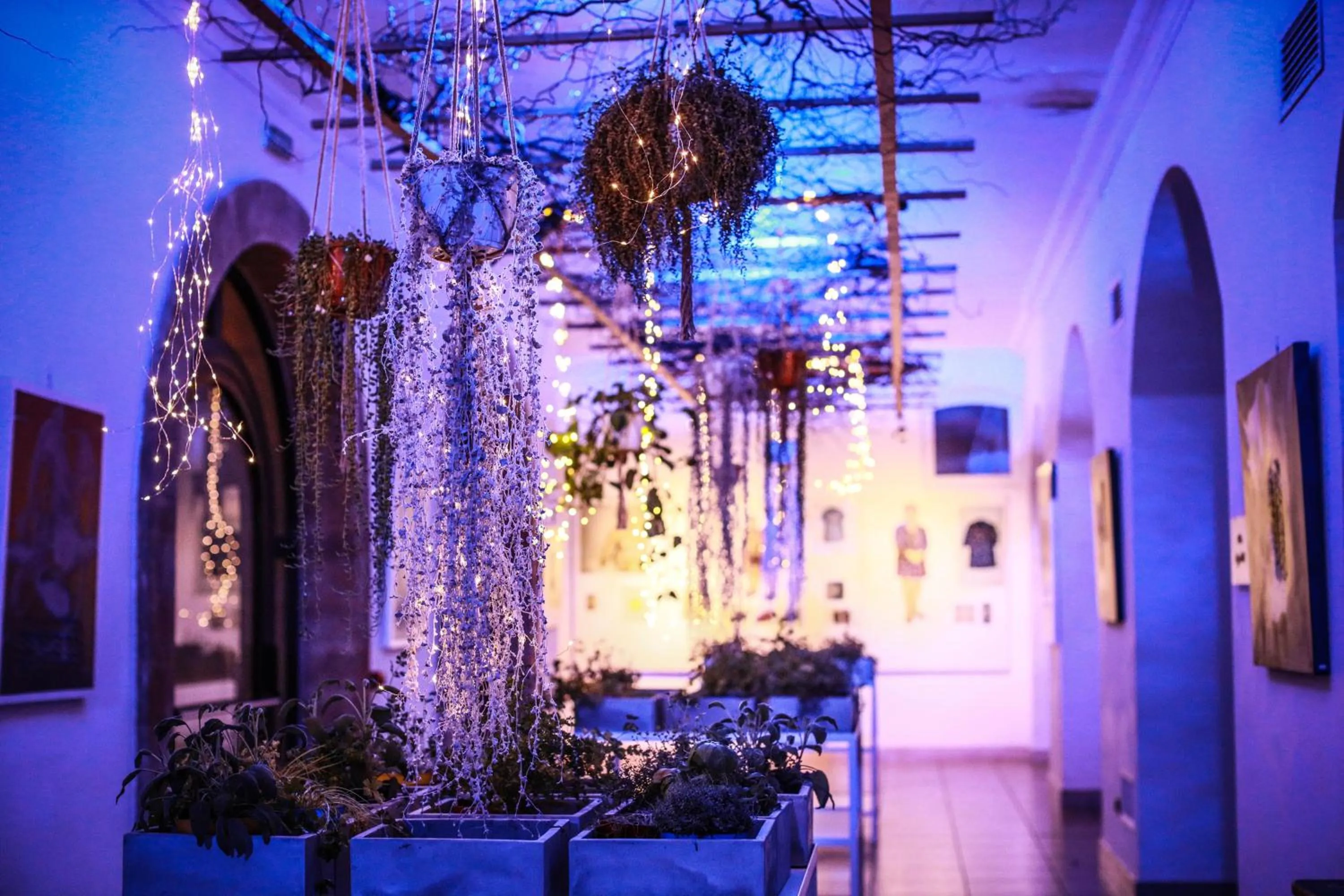 Night in Tenuta Moreno