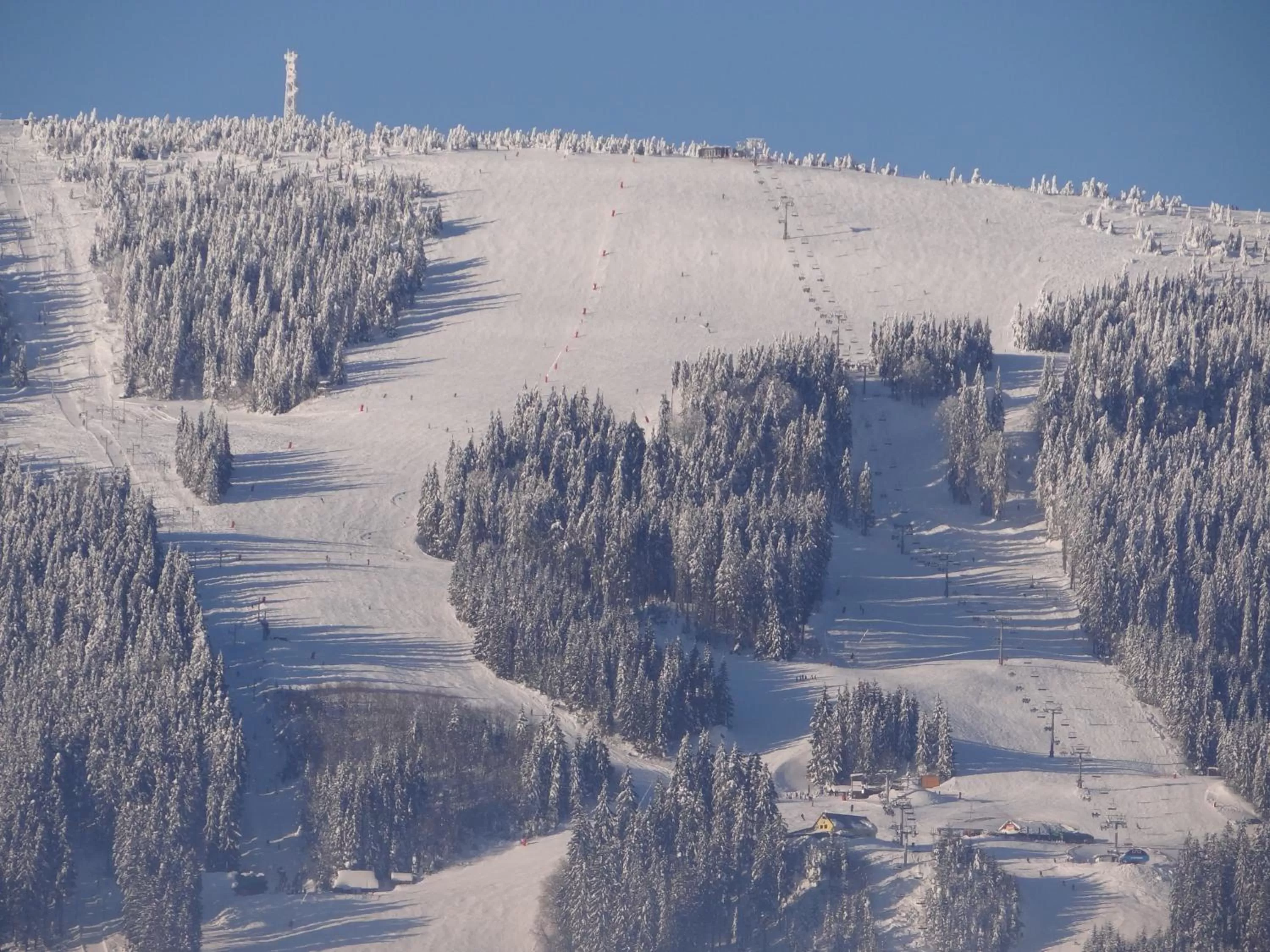 Skiing, Winter in Top Penzión Marína