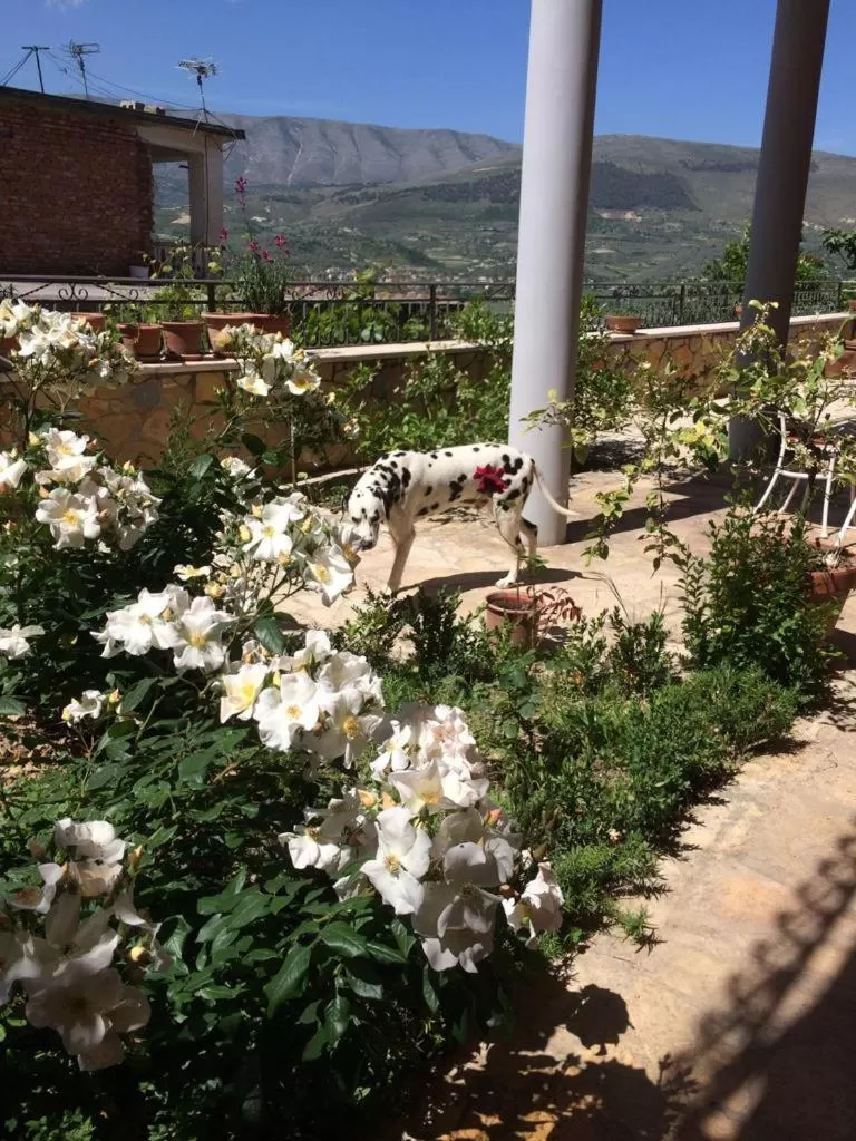 Property building, Bird's-eye View in Guesthouse Villa Rosa Berat