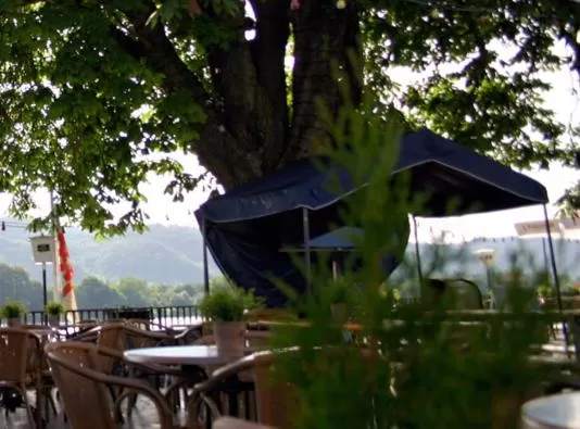 Restaurant/places to eat in Hotel Zur Kripp