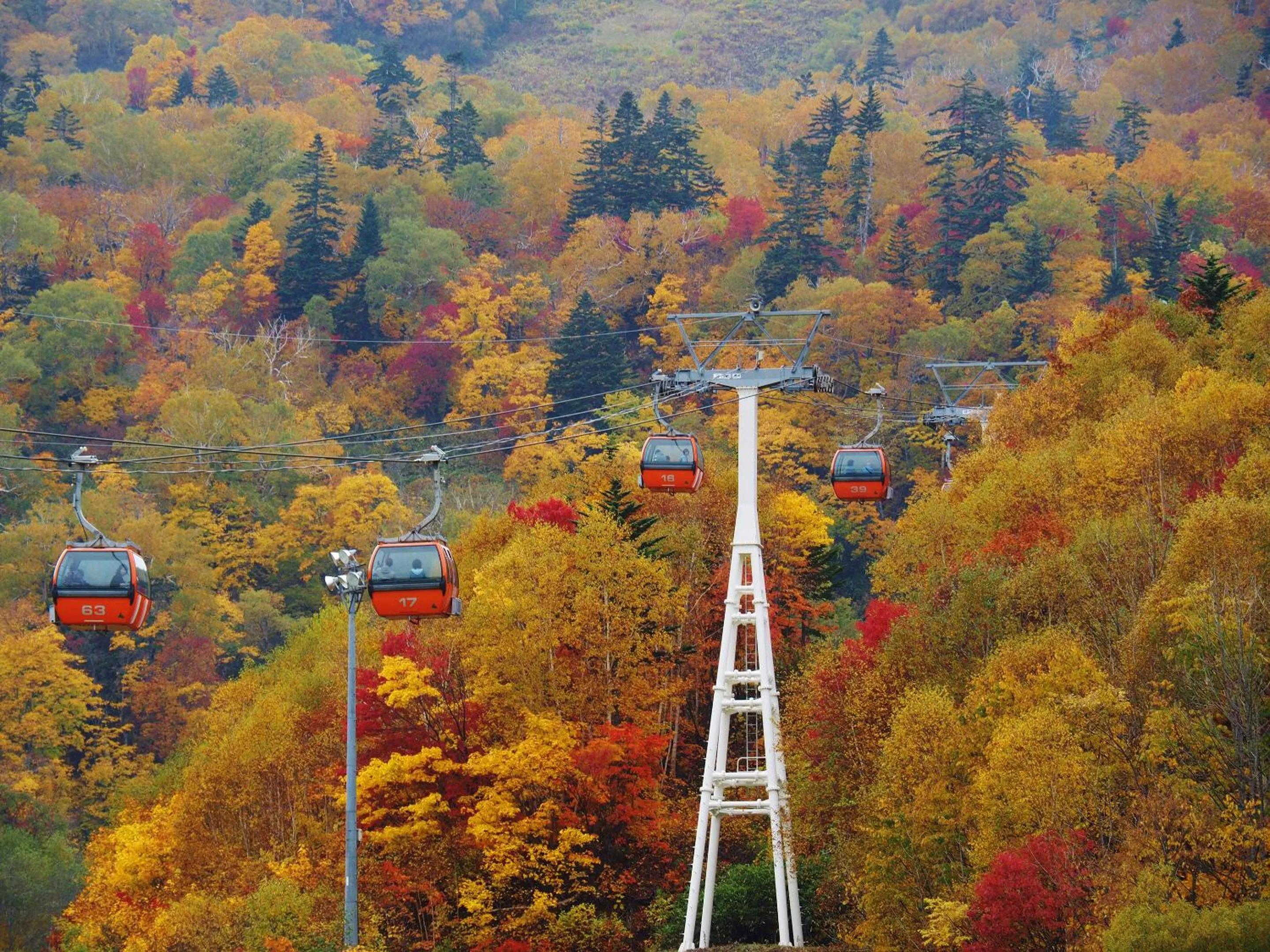 Nearby landmark in Jozankei View Hotel