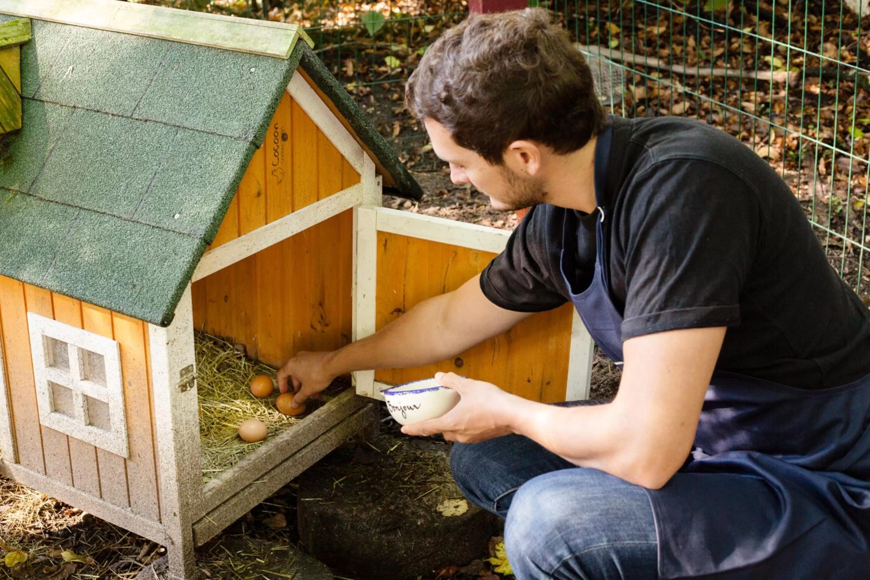 Activities in Mercure Château de Fontainebleau