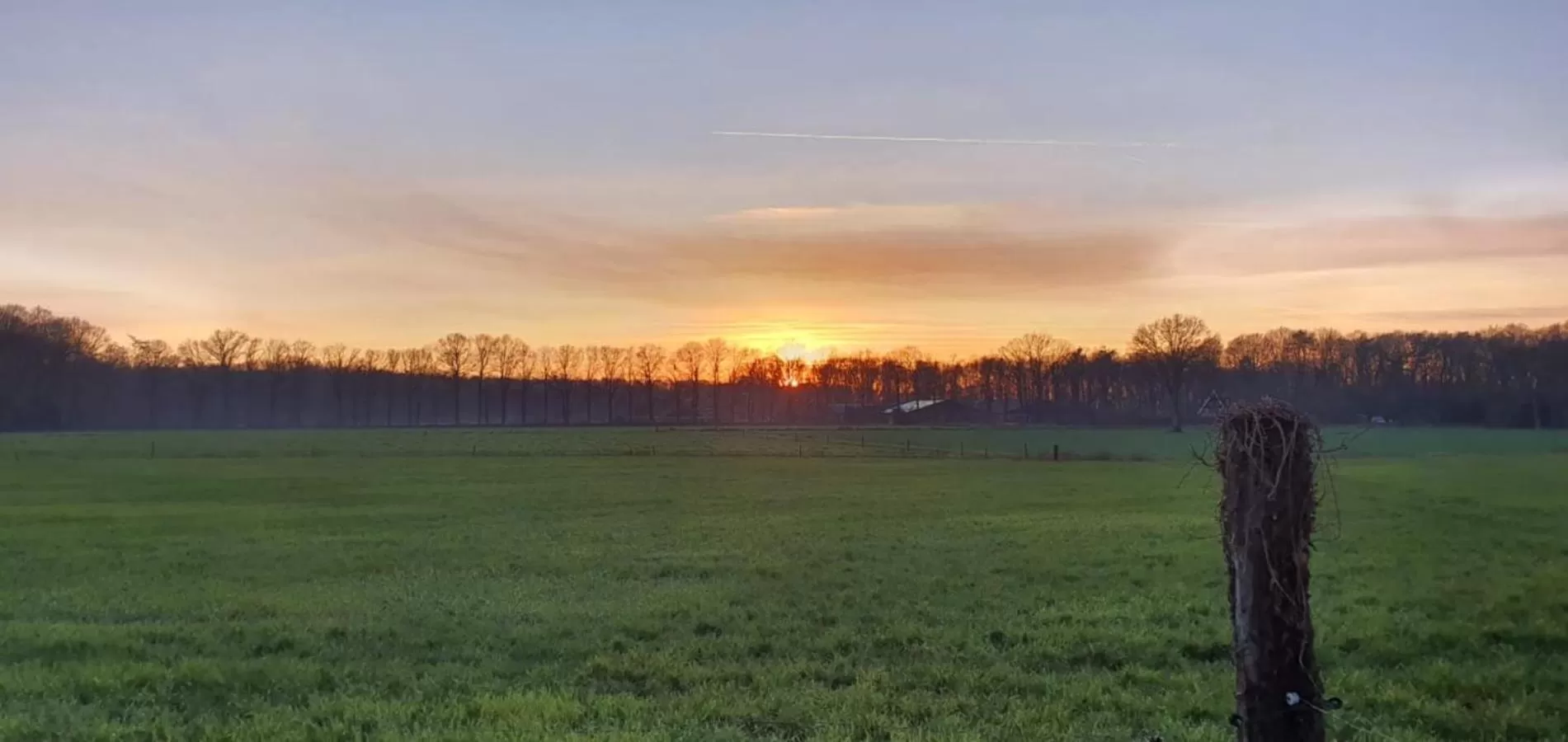 View (from property/room) in Hotel Restaurant Roerdinkhof