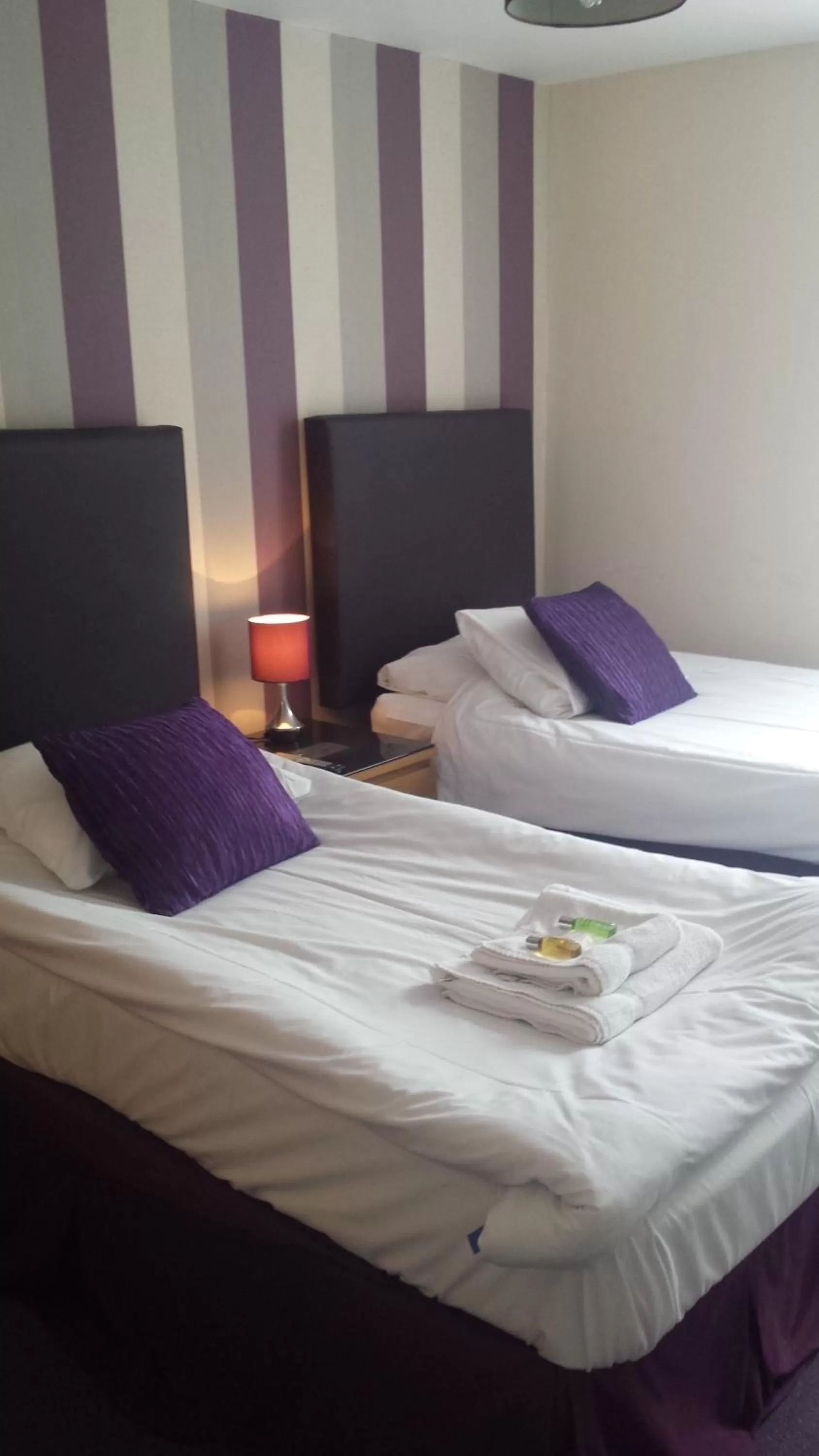 Standard Twin Room in Duke of Buckingham