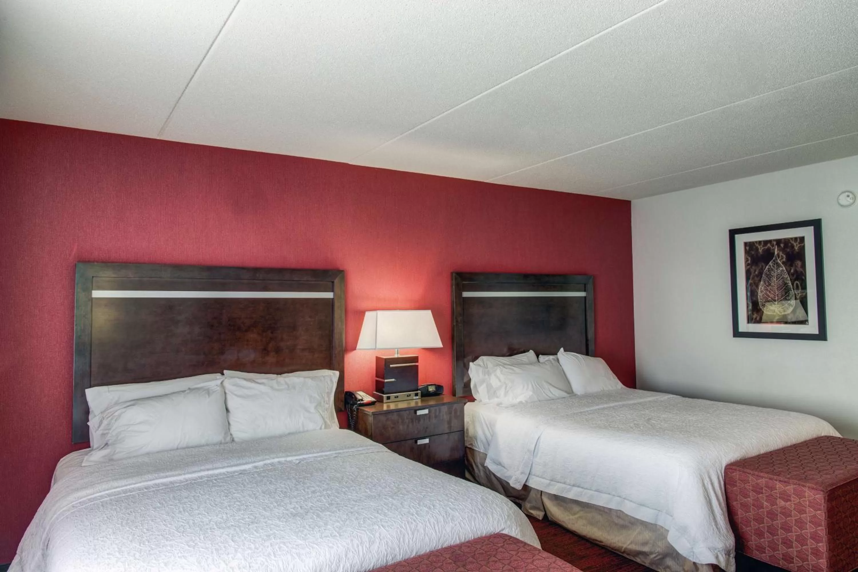 Queen Room with Two Queen Beds - Disability Access with Bathtub in Hampton Inn & Suites Detroit/Airport Romulus