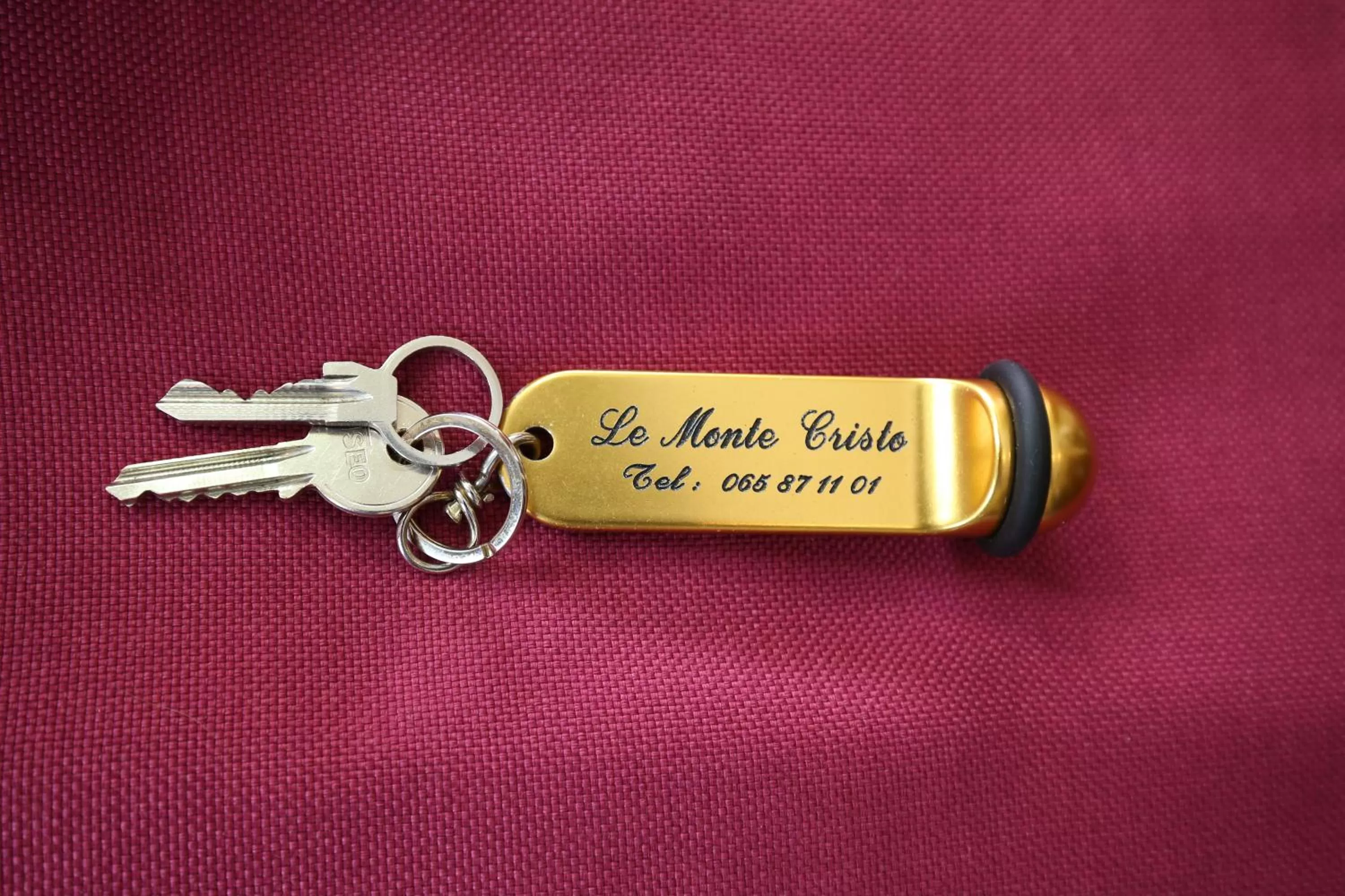 Property logo or sign in Hôtel Le Monte-Cristo