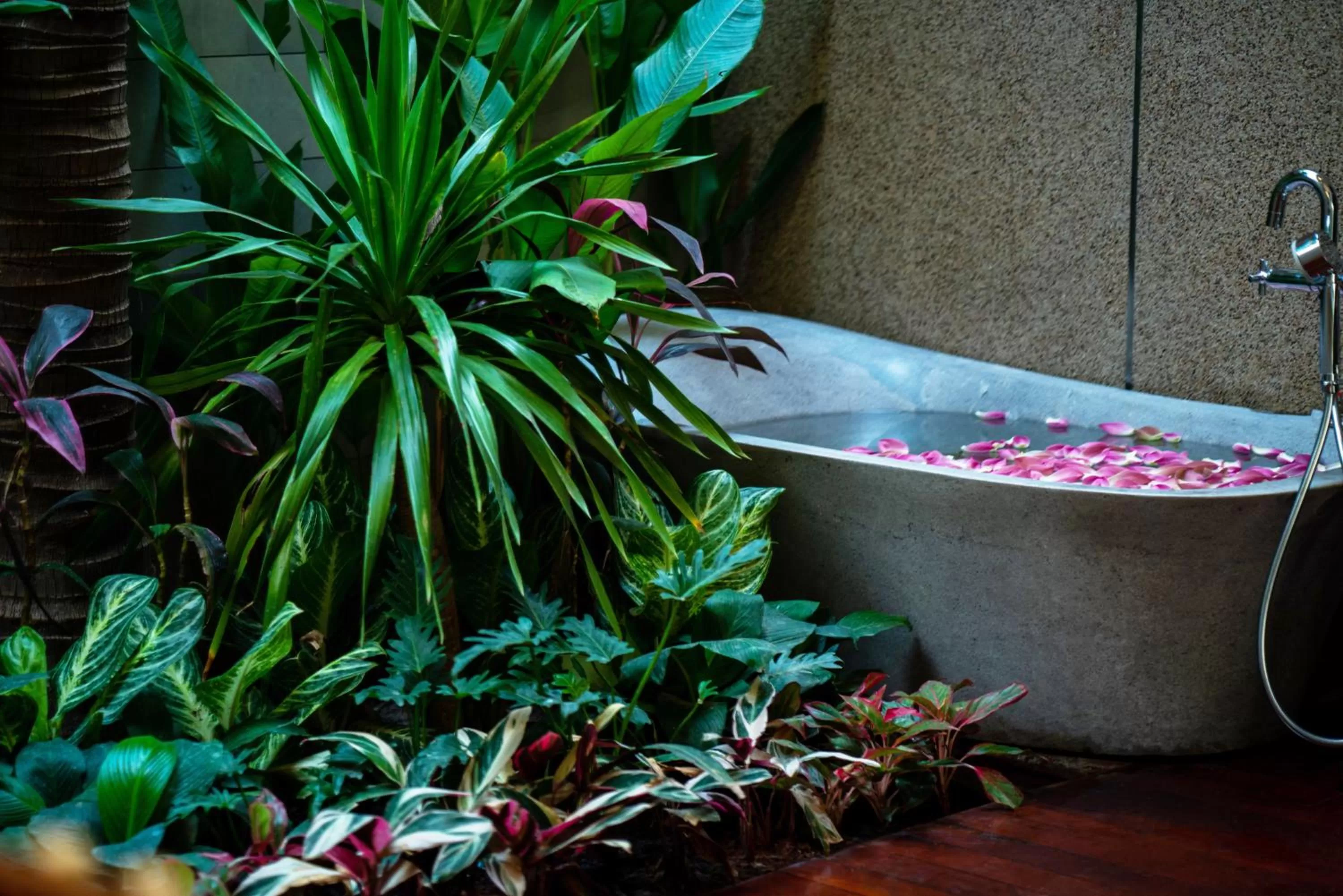 Bathroom in Shintana Saya La Maison