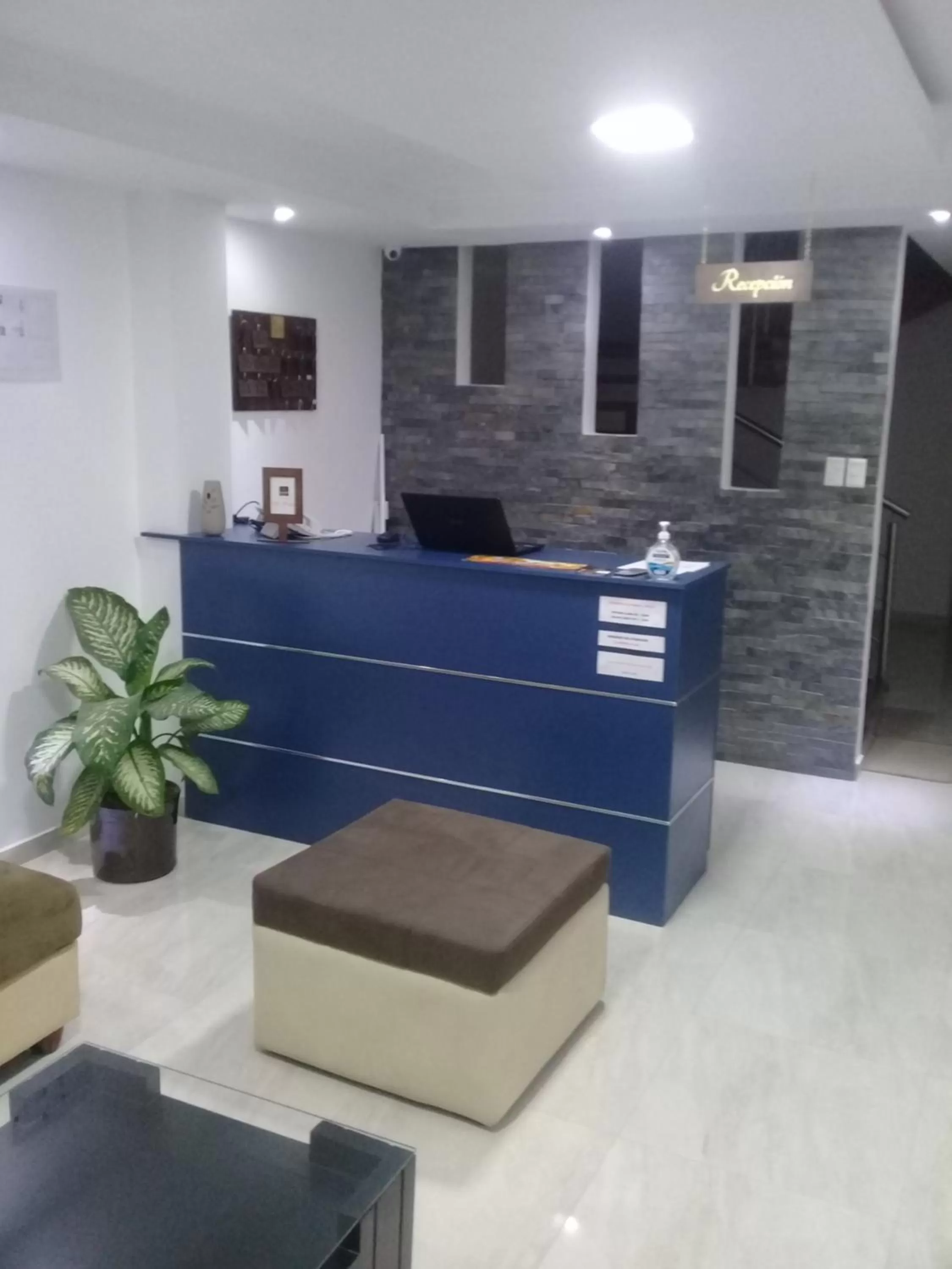 Lobby or reception, Lobby/Reception in Illari Hotel