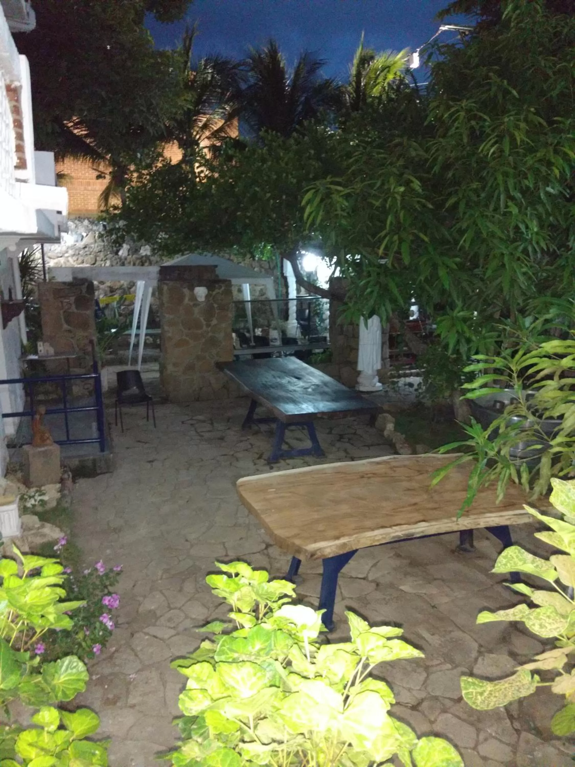 Garden in Hotel Boutique Casa Berastegui