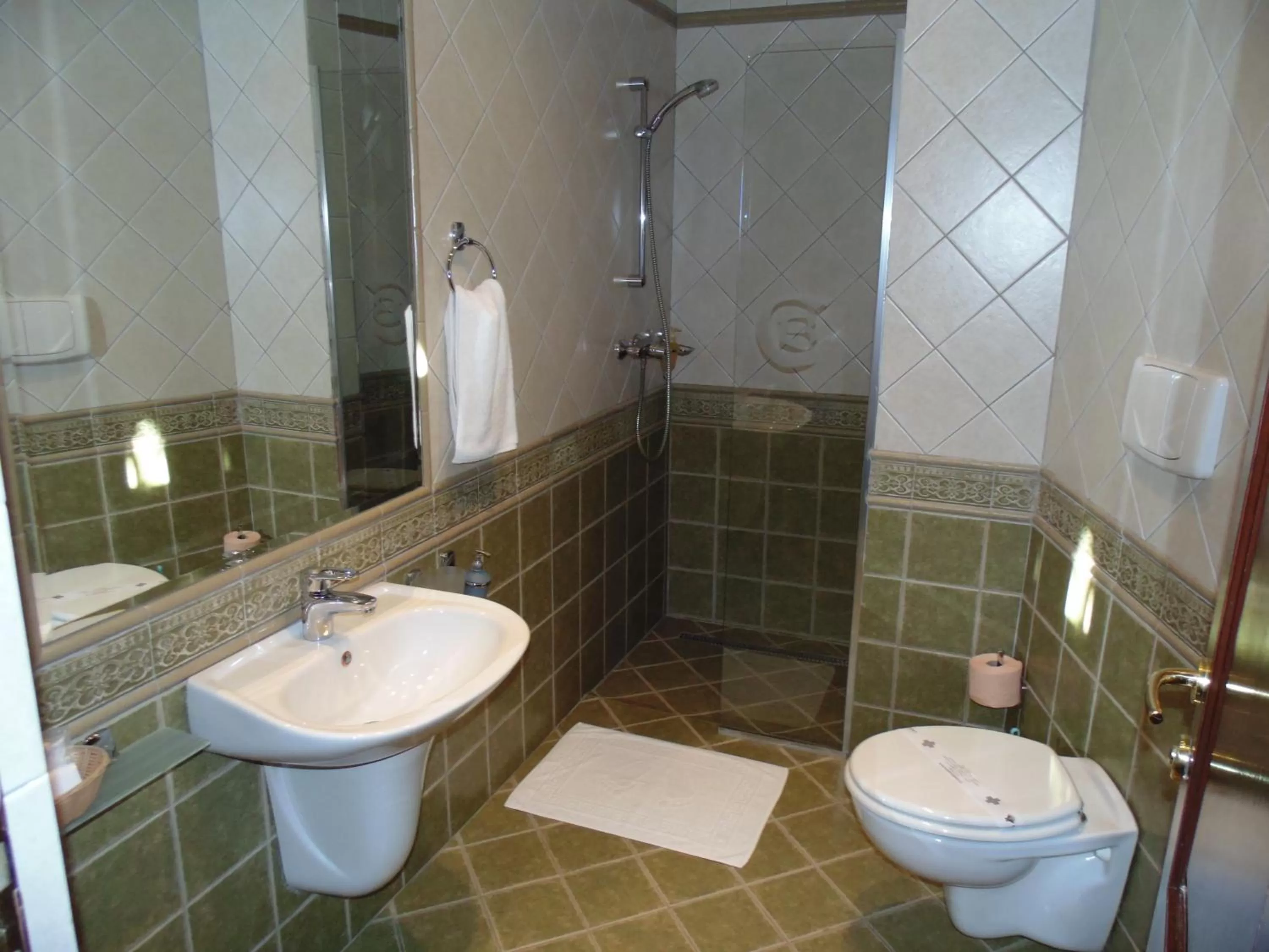 Bathroom in Curtea Brasoveana