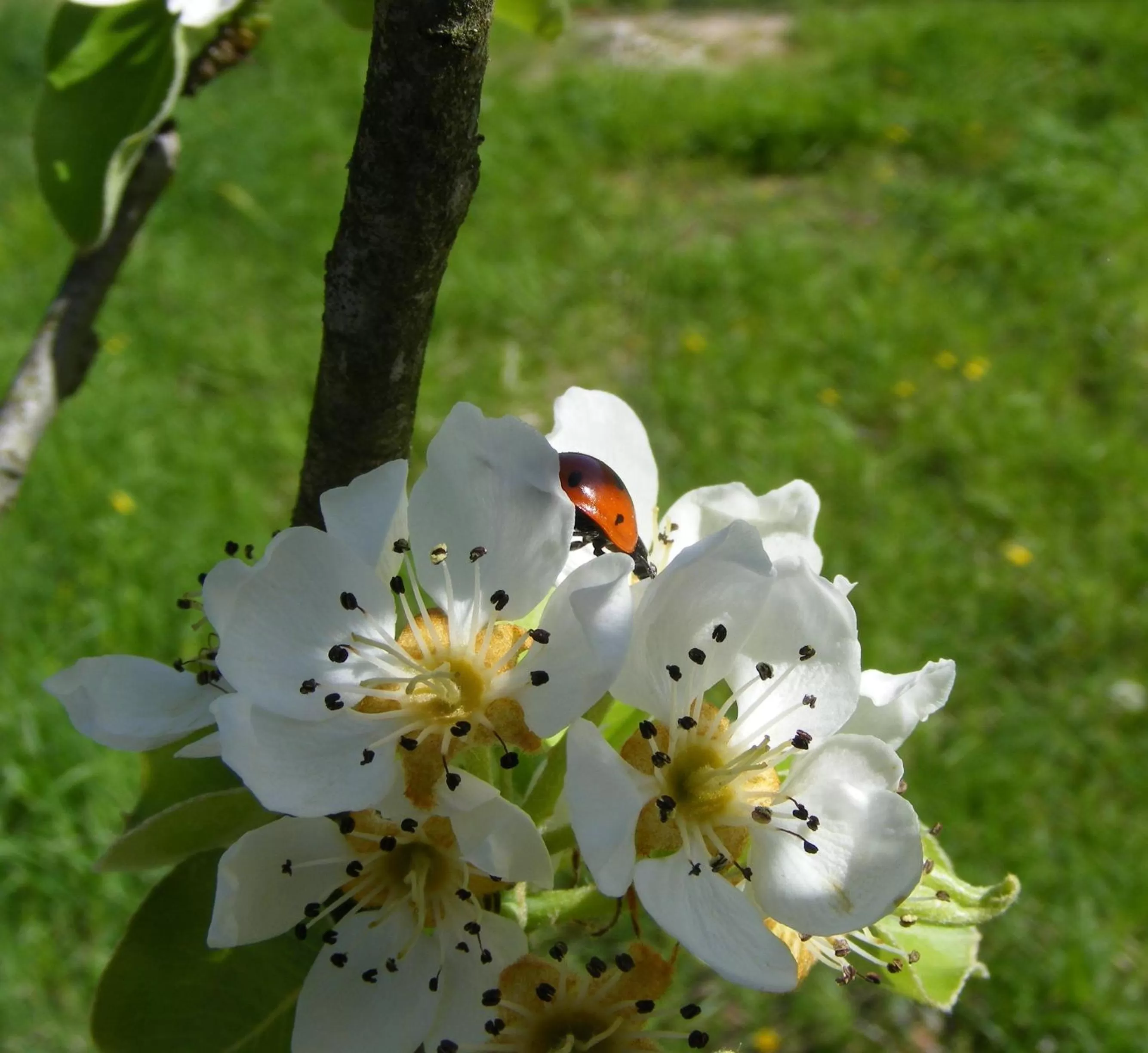 Other in Bed & Breakfast La Gaggiaspina