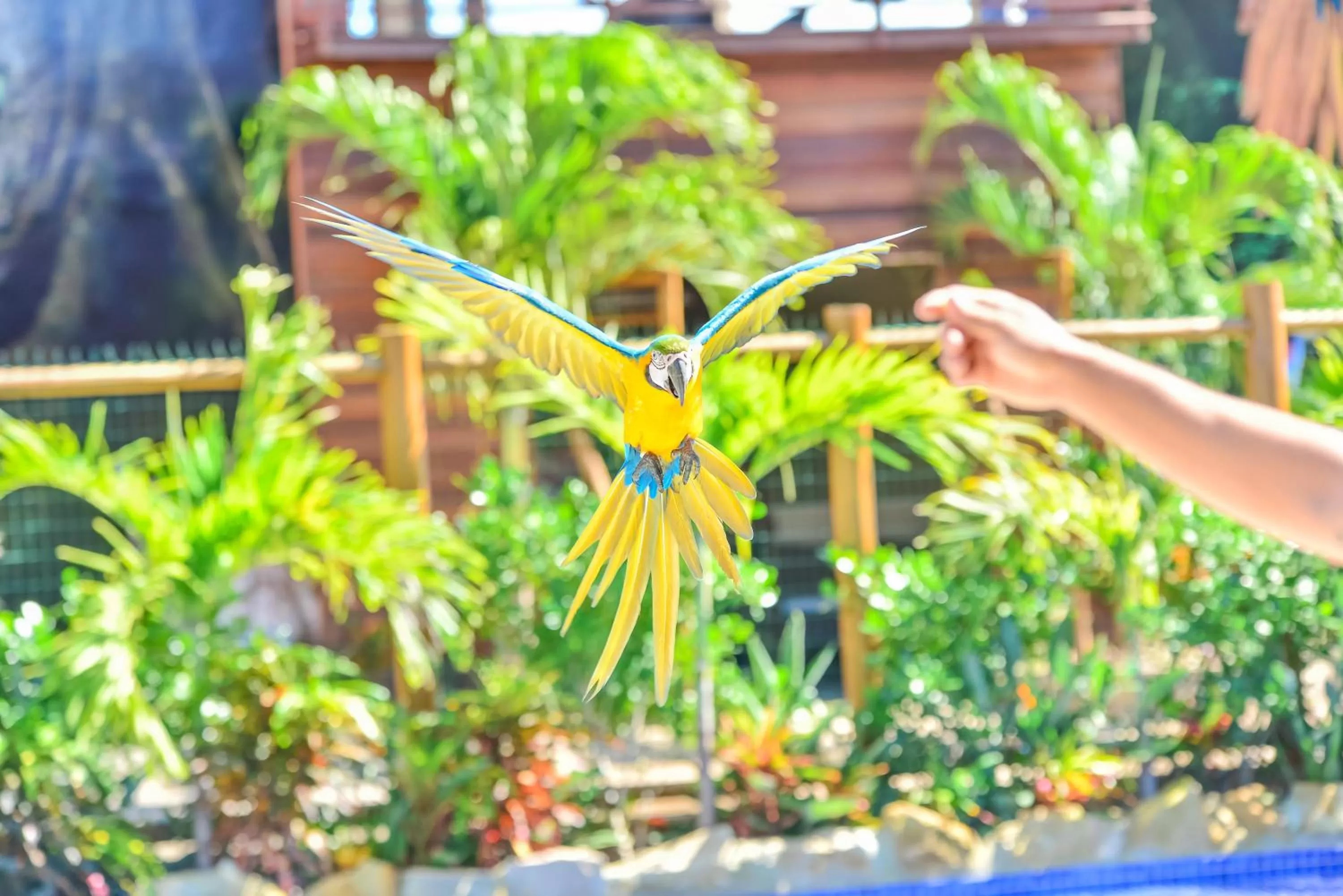 Garden in Pousada Sol e Mar