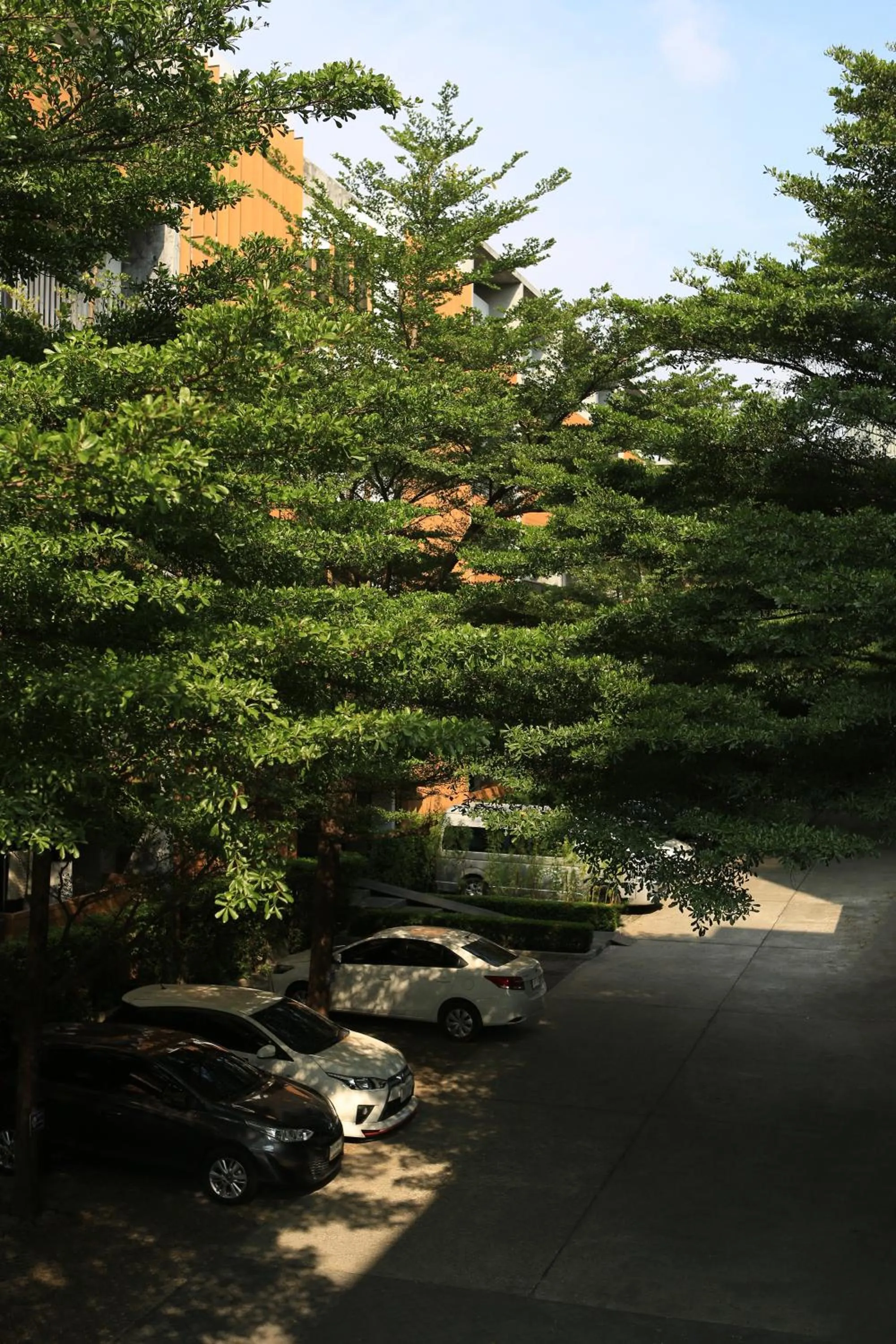 Property building in The Silver Palm Wellness Resort