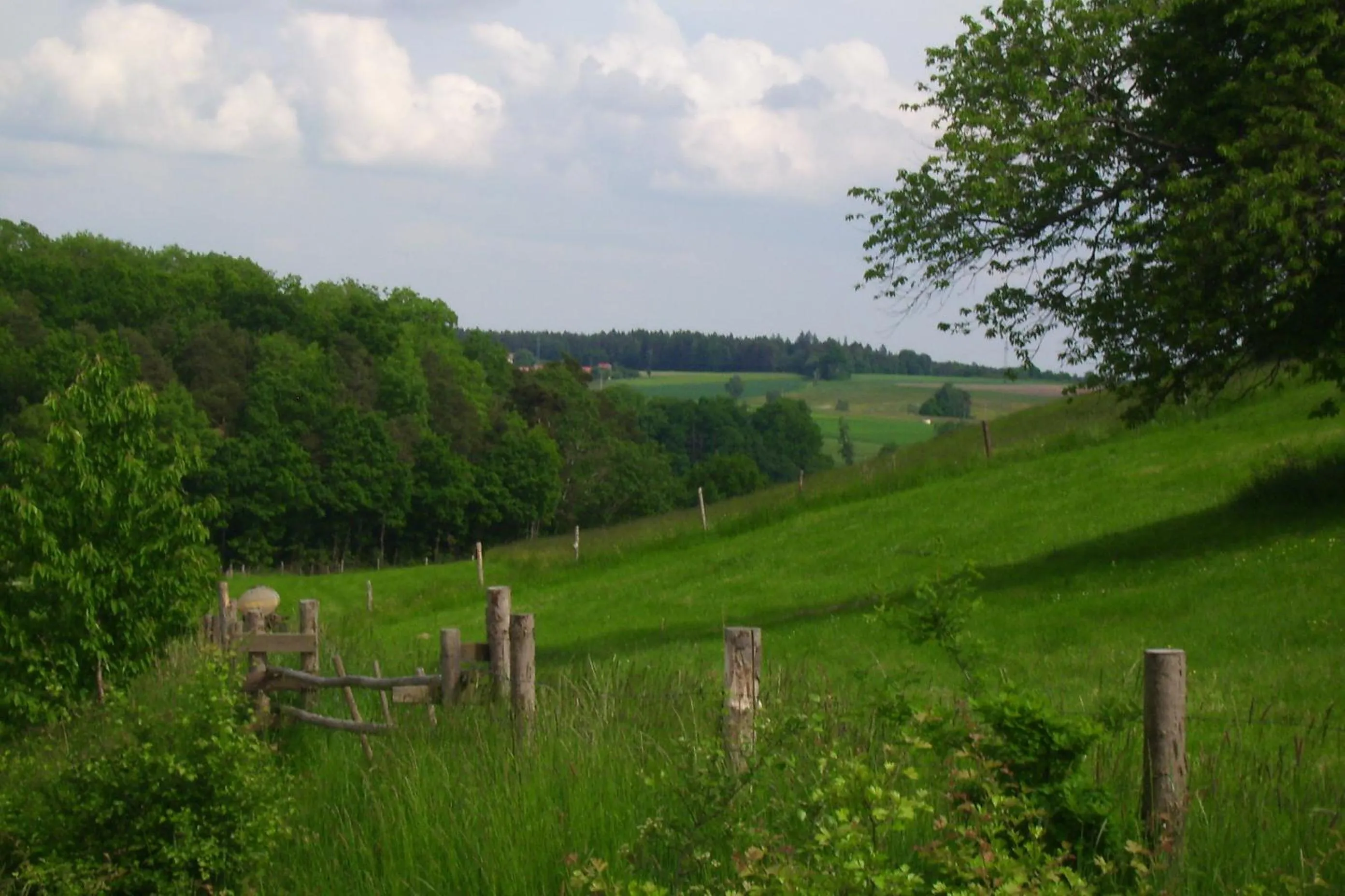 Day in WAGNERS Hotel Greifen-Post