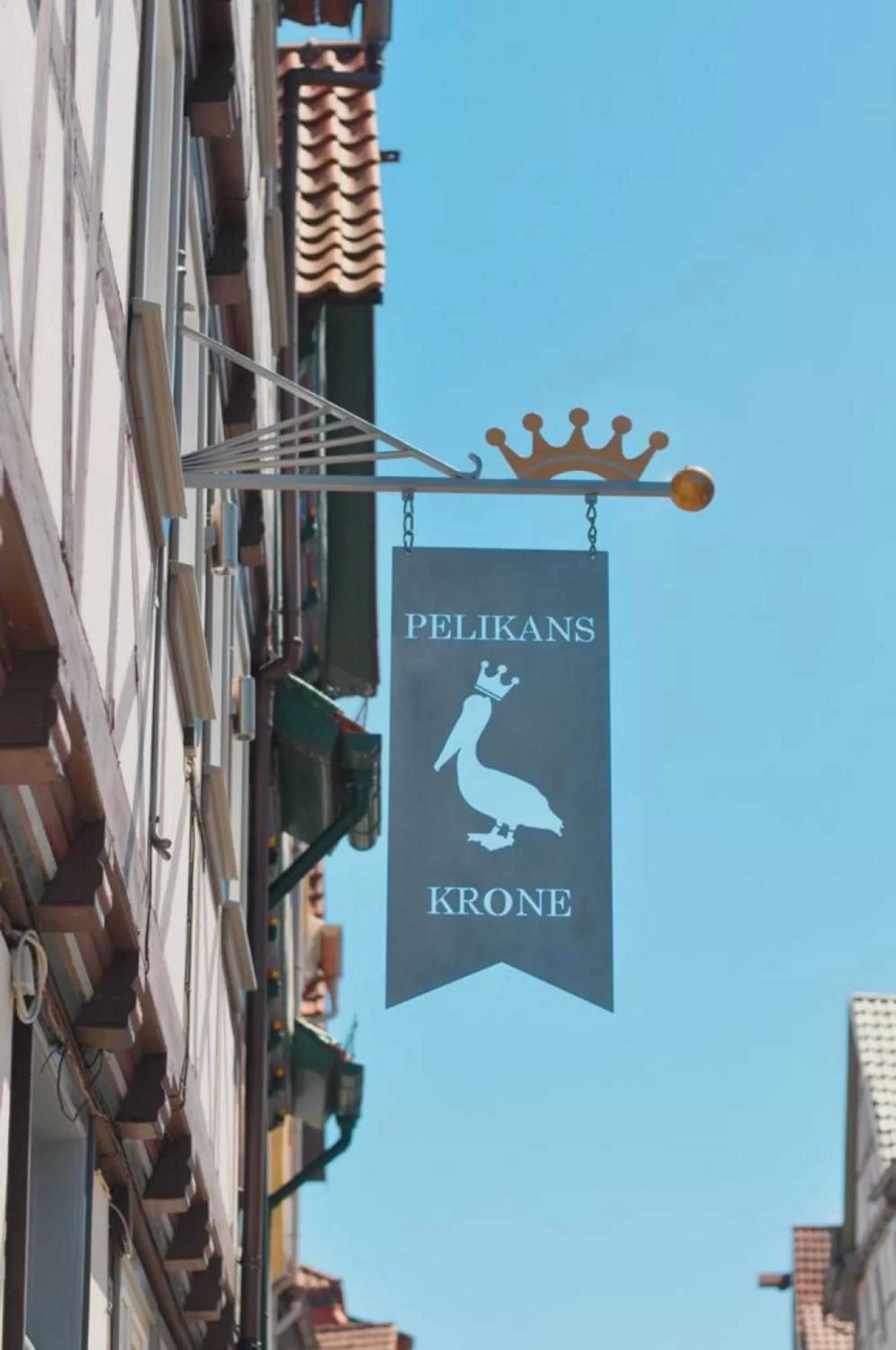 Pelikans Krone