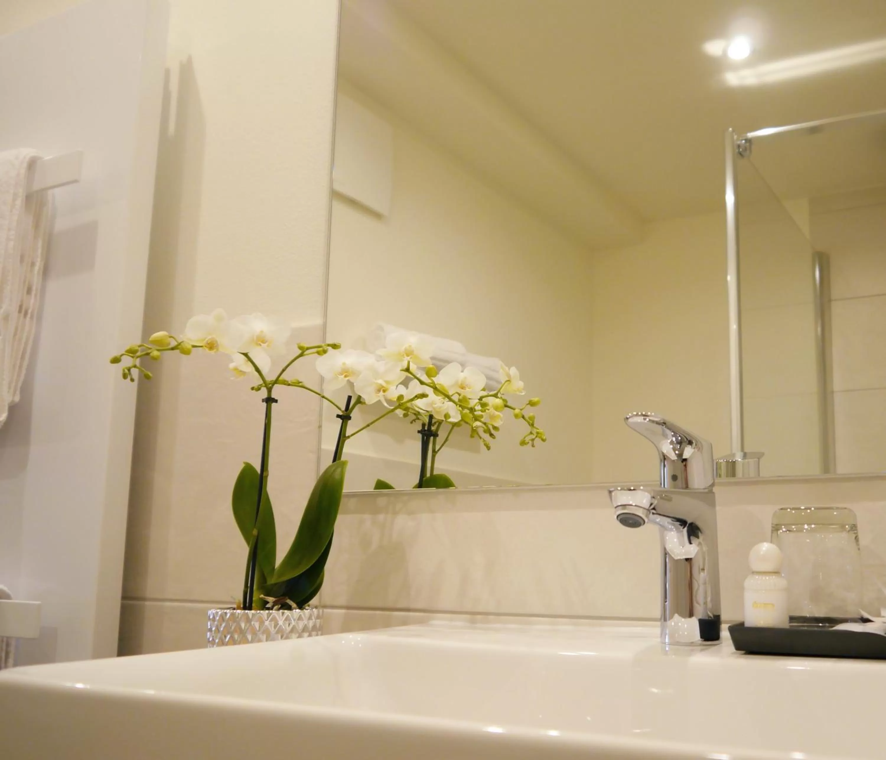 Bathroom in Berghotel Zollersteighof