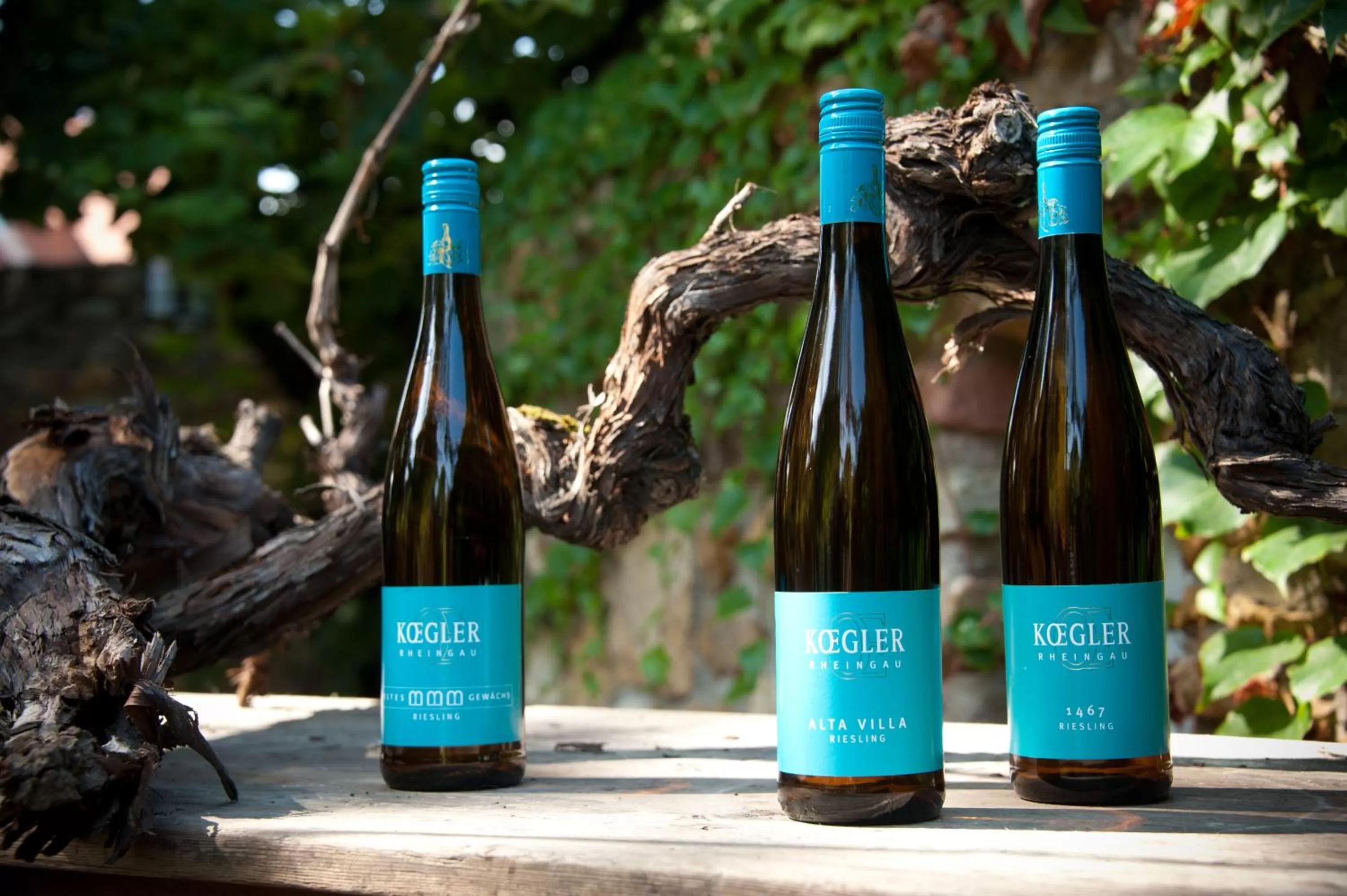 Alcoholic drinks in Wein Hotel Koegler