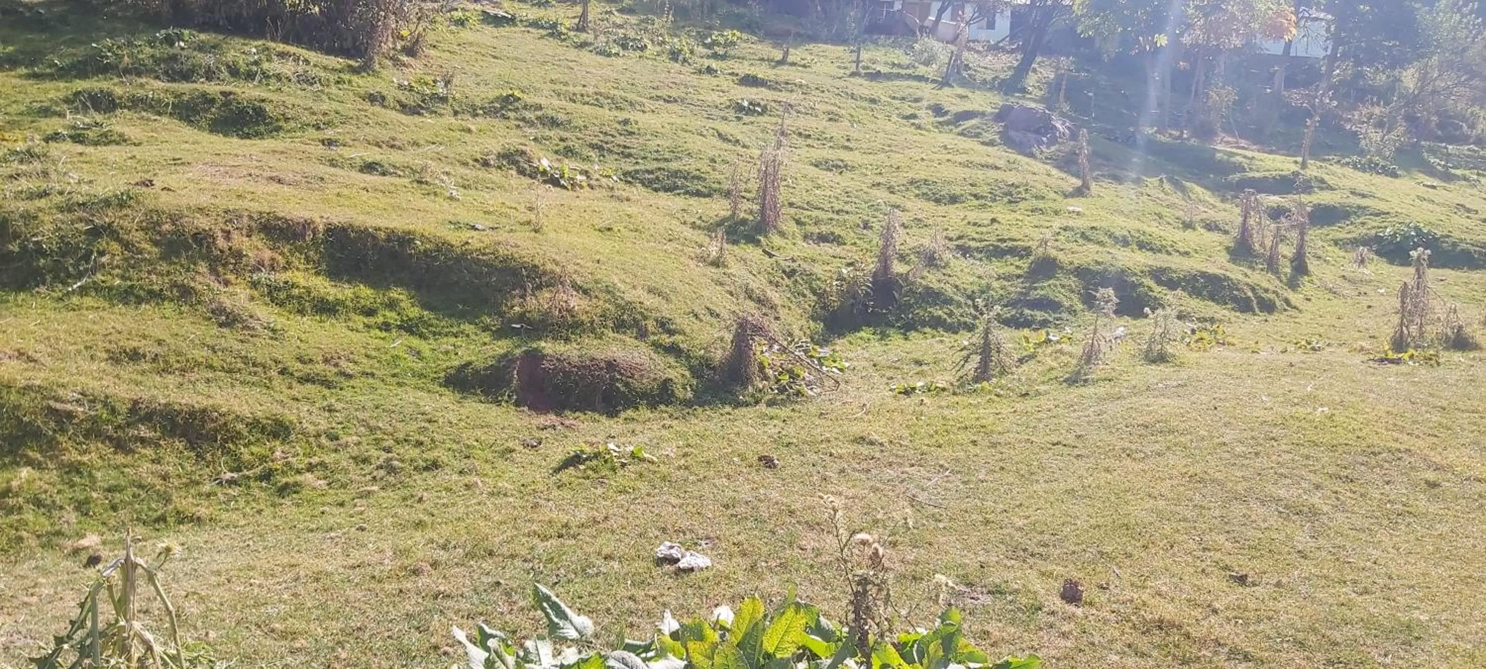 Garden view in Mount Heaven Hotel Murree