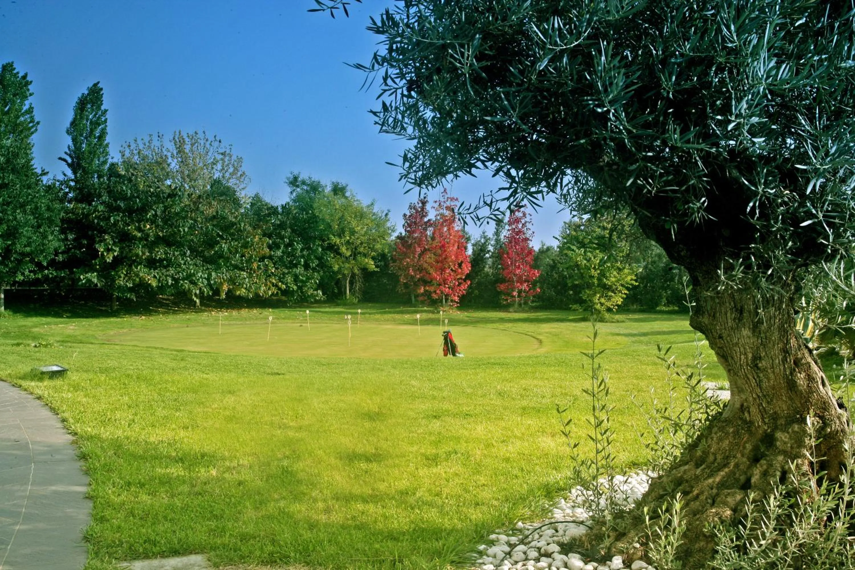 Food close-up in Amatì Design Green Hotel