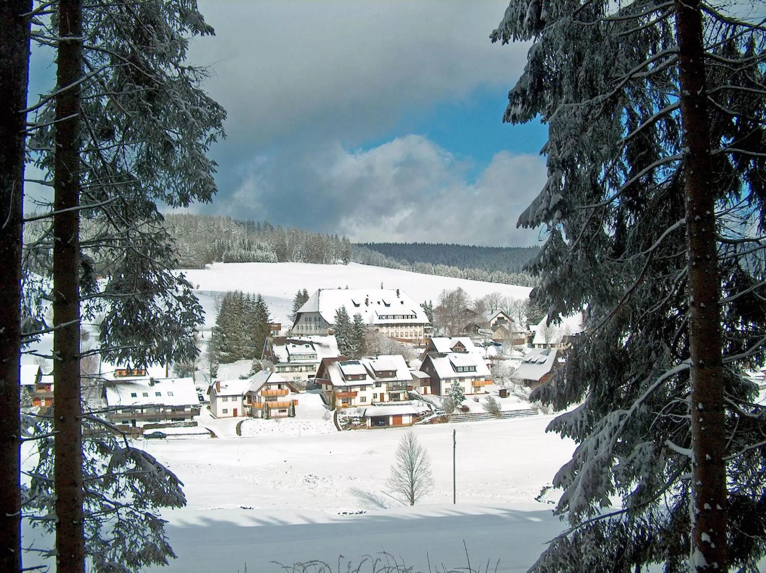 Natural landscape in ZUR TRAUBE Schwarzwaldhotel & Restaurant am Titisee
