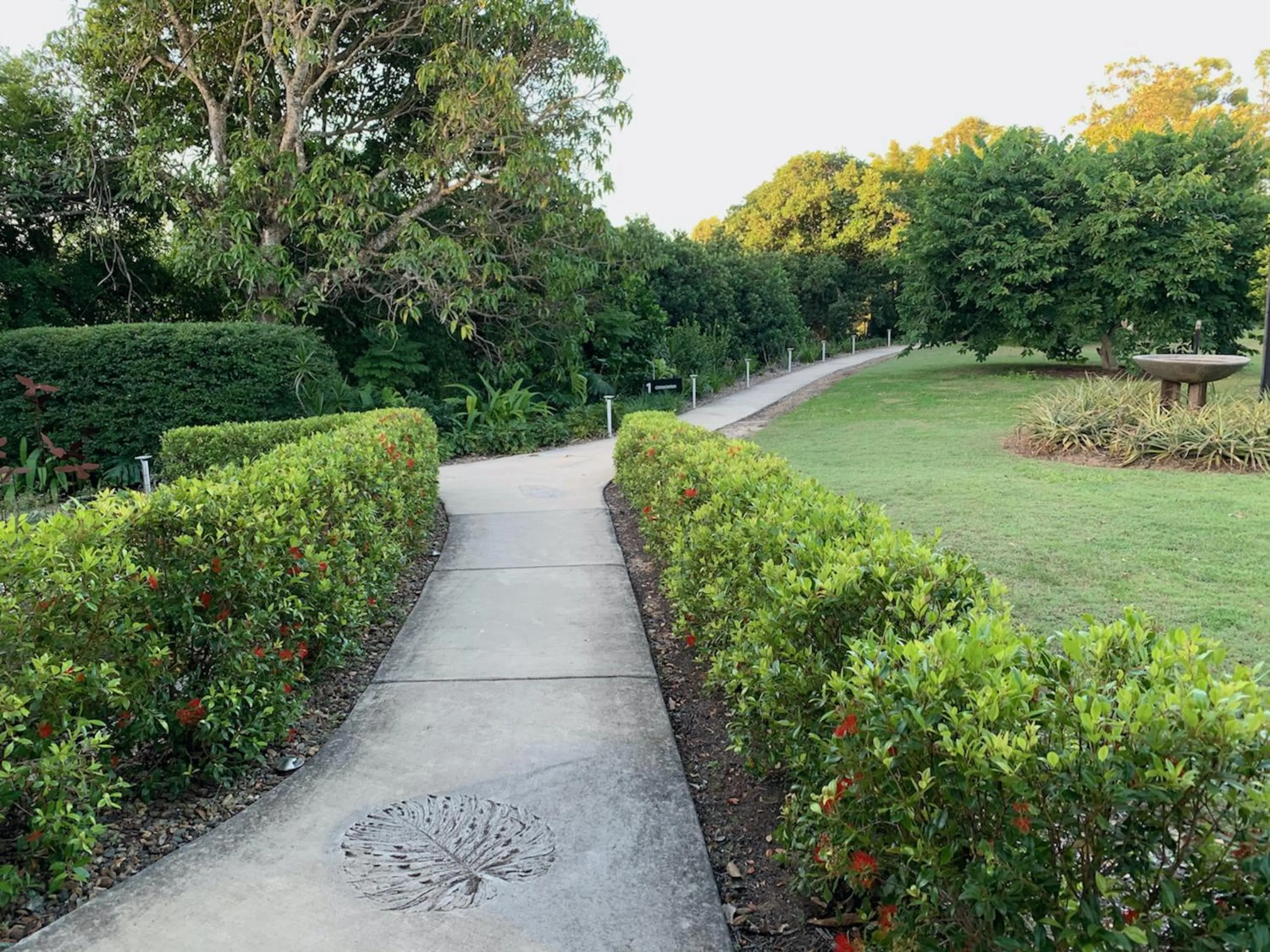 Garden in Glass On Glasshouse