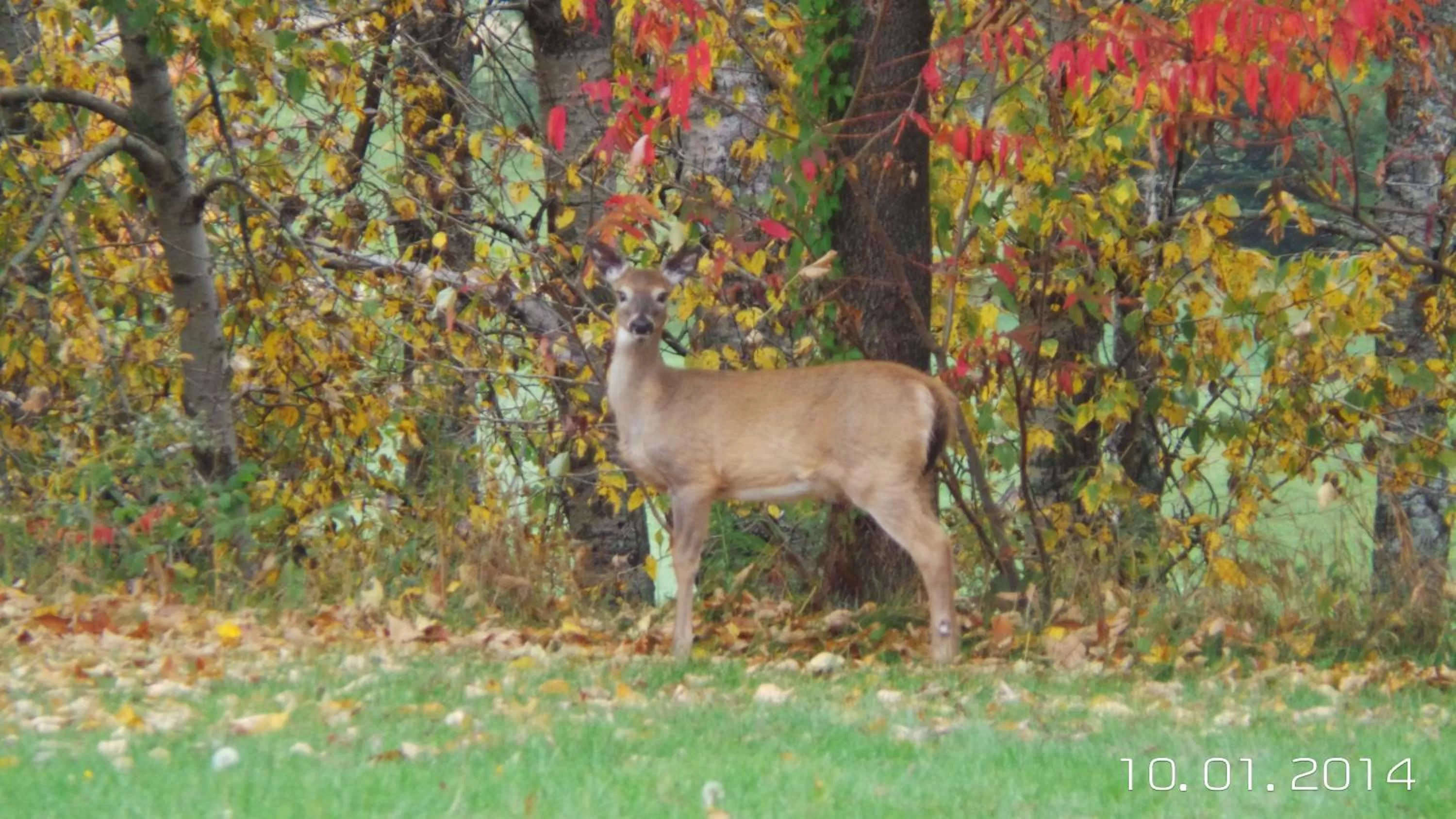Other in Auberge de la Tour et Spa