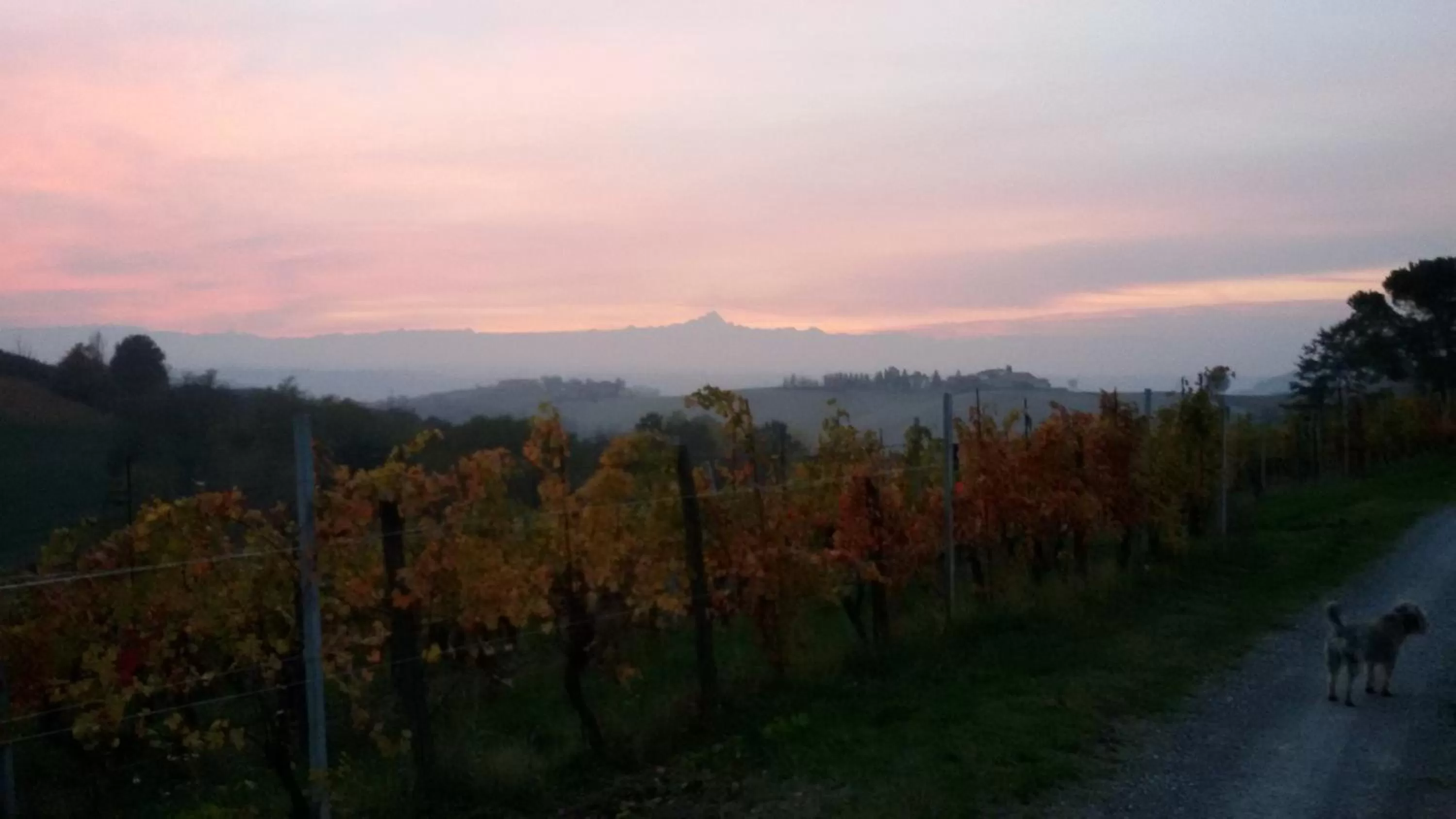 Other in Cascina Torello