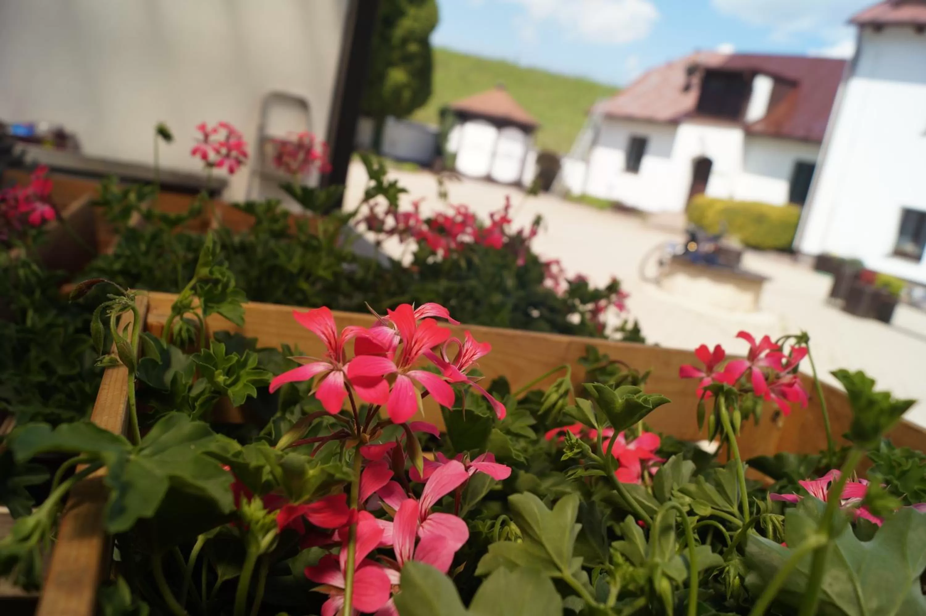 Neighbourhood in Hotel a Hostinec Tálský mlýn