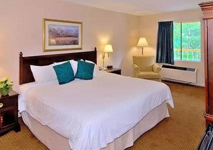 King Room - Smoking  in Econo Lodge Inn & Suites Columbus near Fort Benning