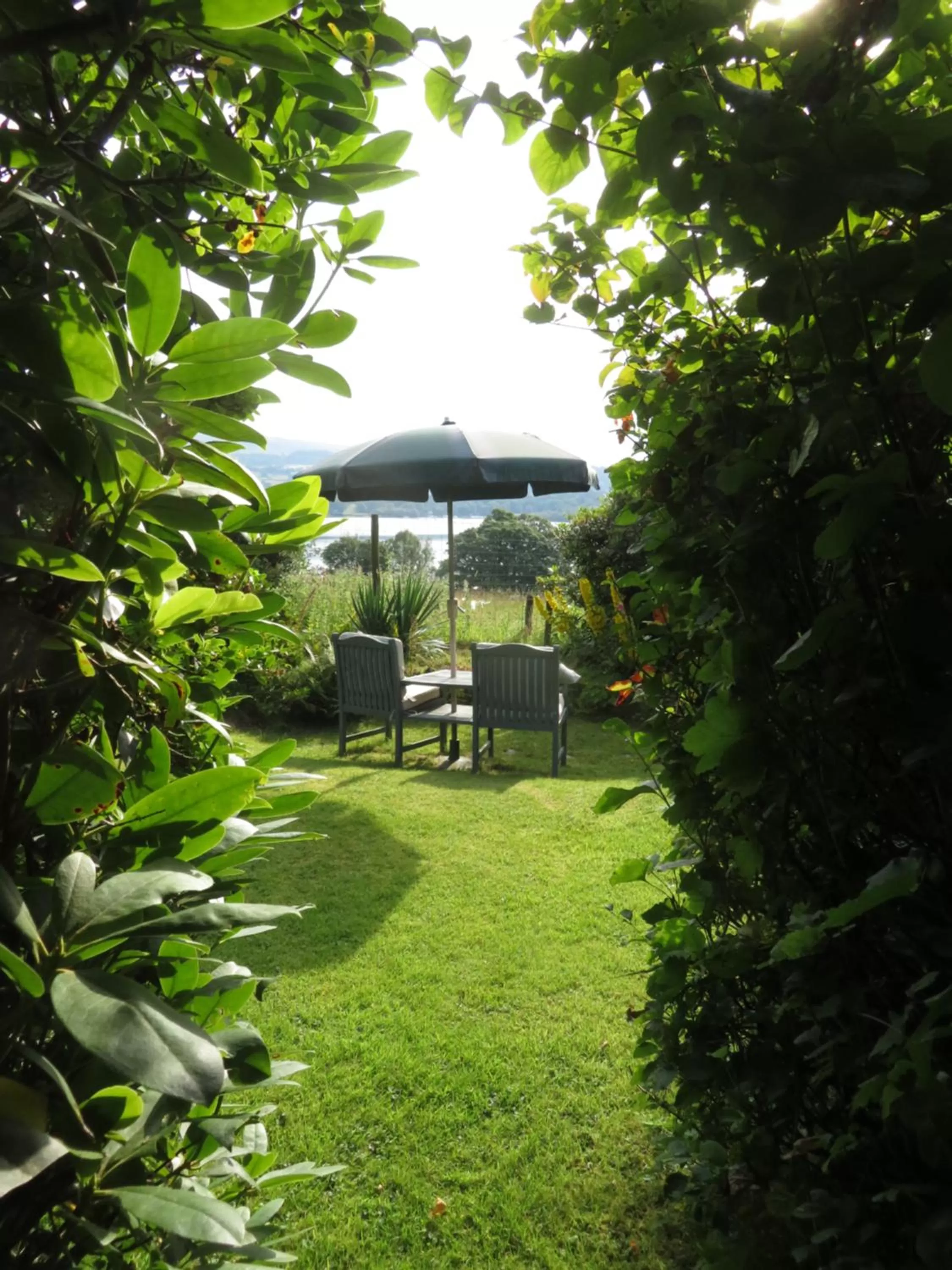Garden in Slack Cottage