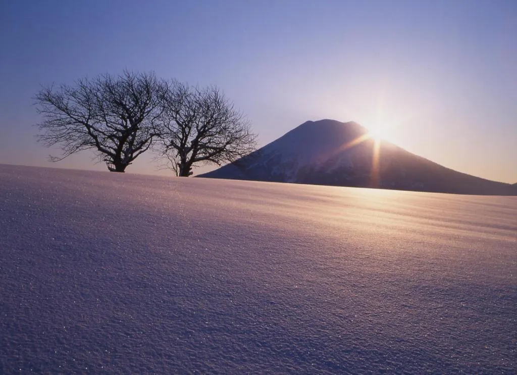 Winter in Niseko Prince Hotel Hirafutei
