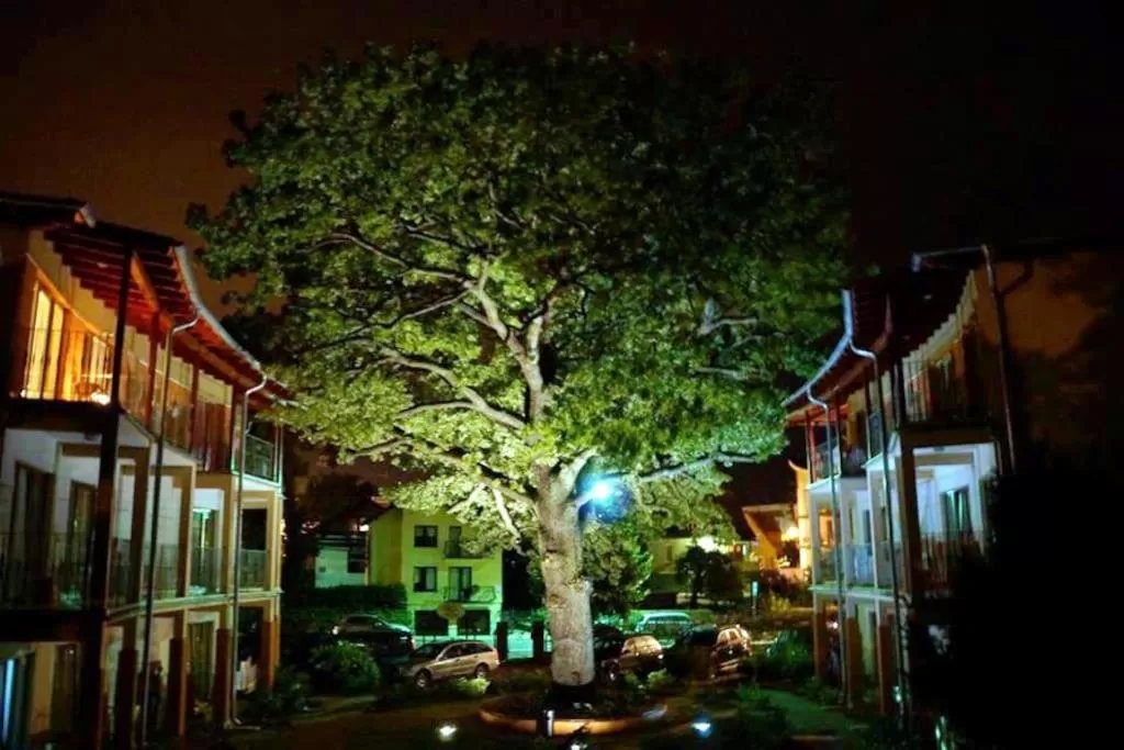 Property building in Rezydencja 5 Dębów