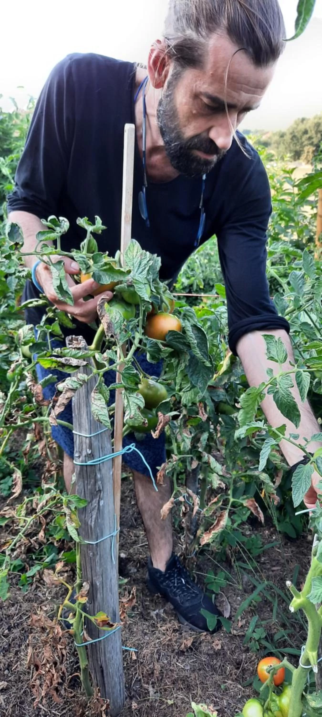 Garden in Rectoral de Anllo