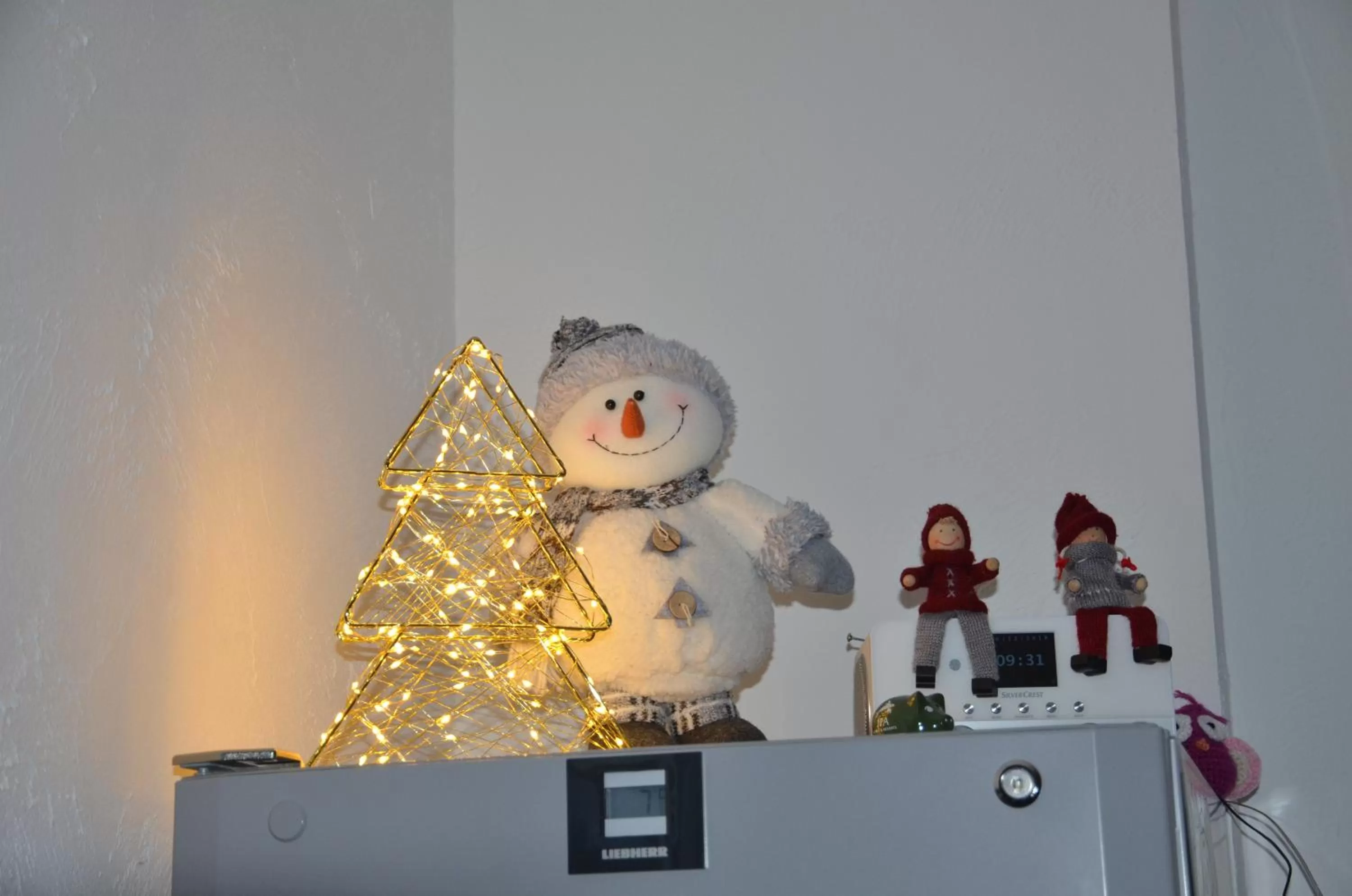 Winter in Gästehaus Am Hochsimmer