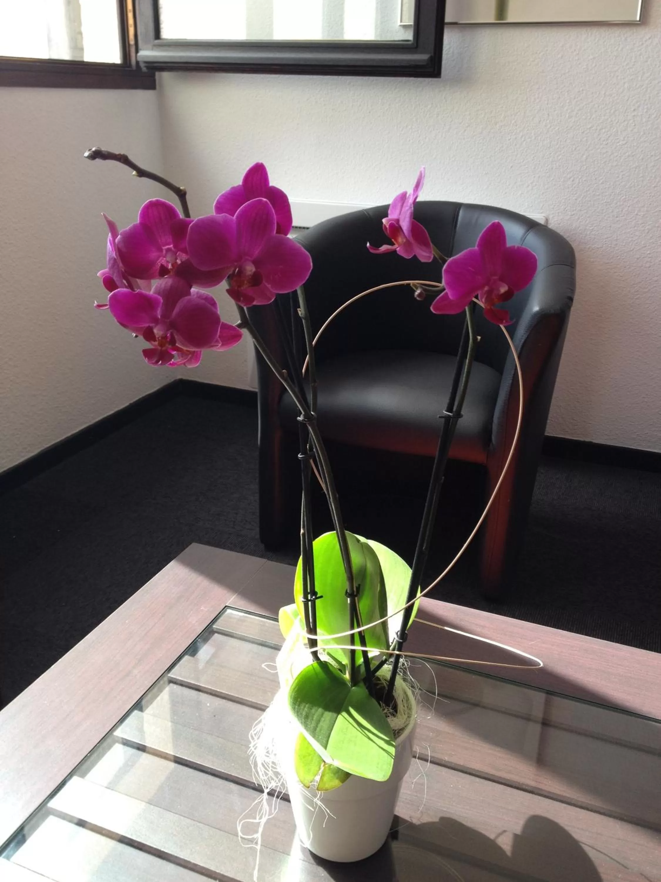 Decorative detail in Hôtel Le Saint Joseph