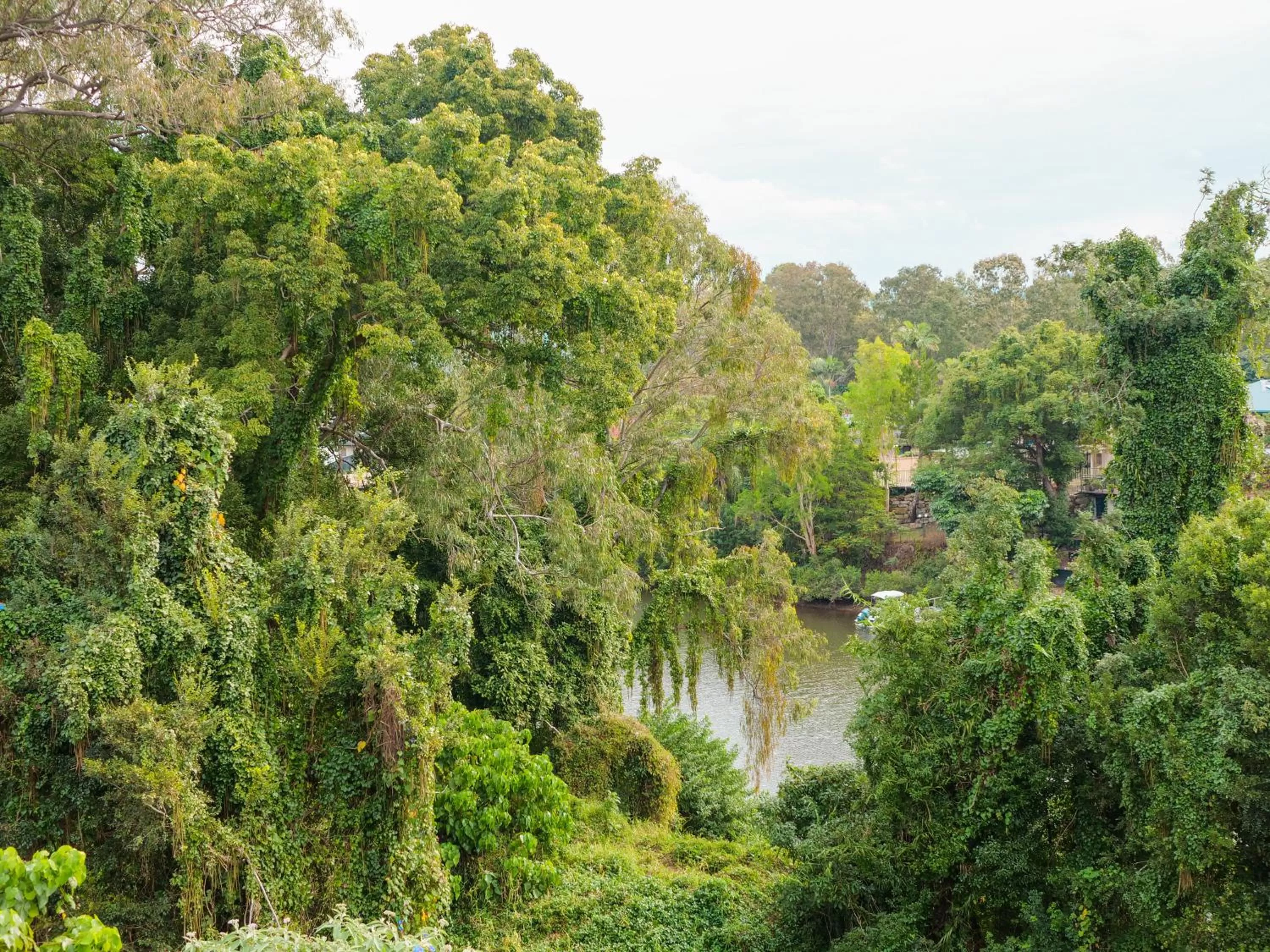 View (from property/room) in Nightcap at Hinterland Hotel Nerang