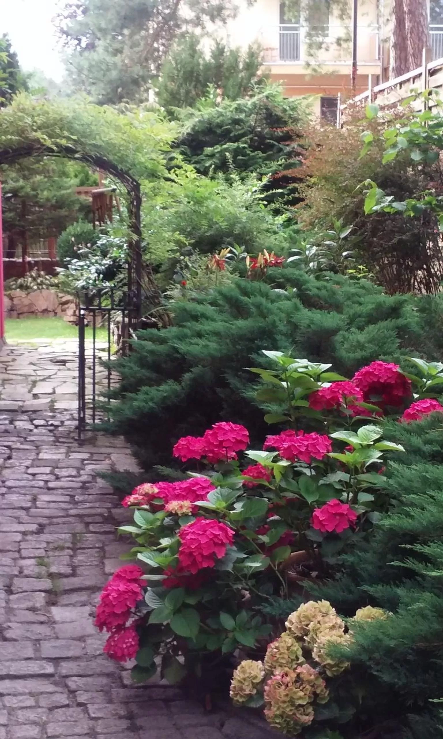 Spring in Willa 4 Pory Roku & Uznam