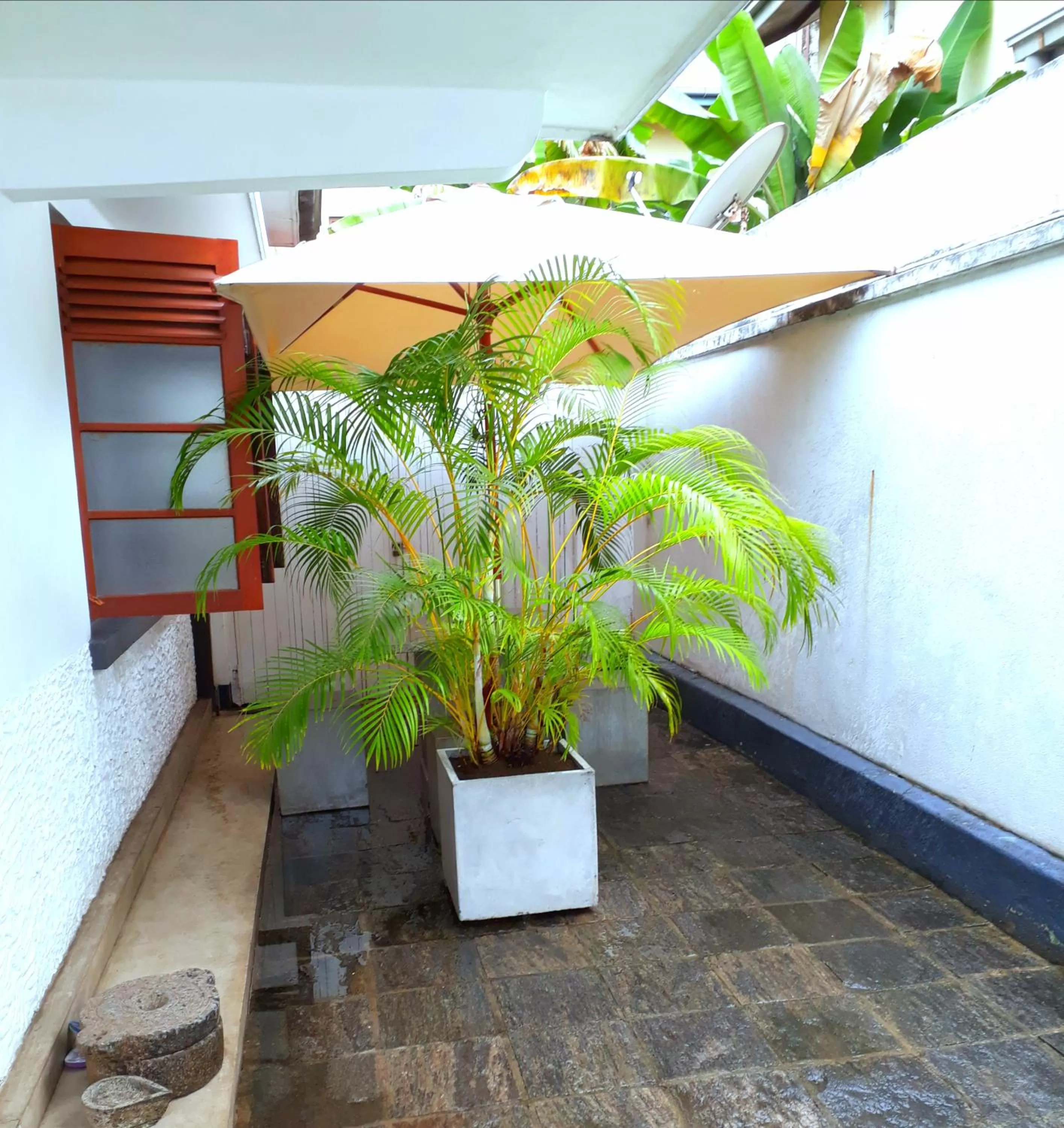 Patio in "27" Spathodea- Oasis in the City