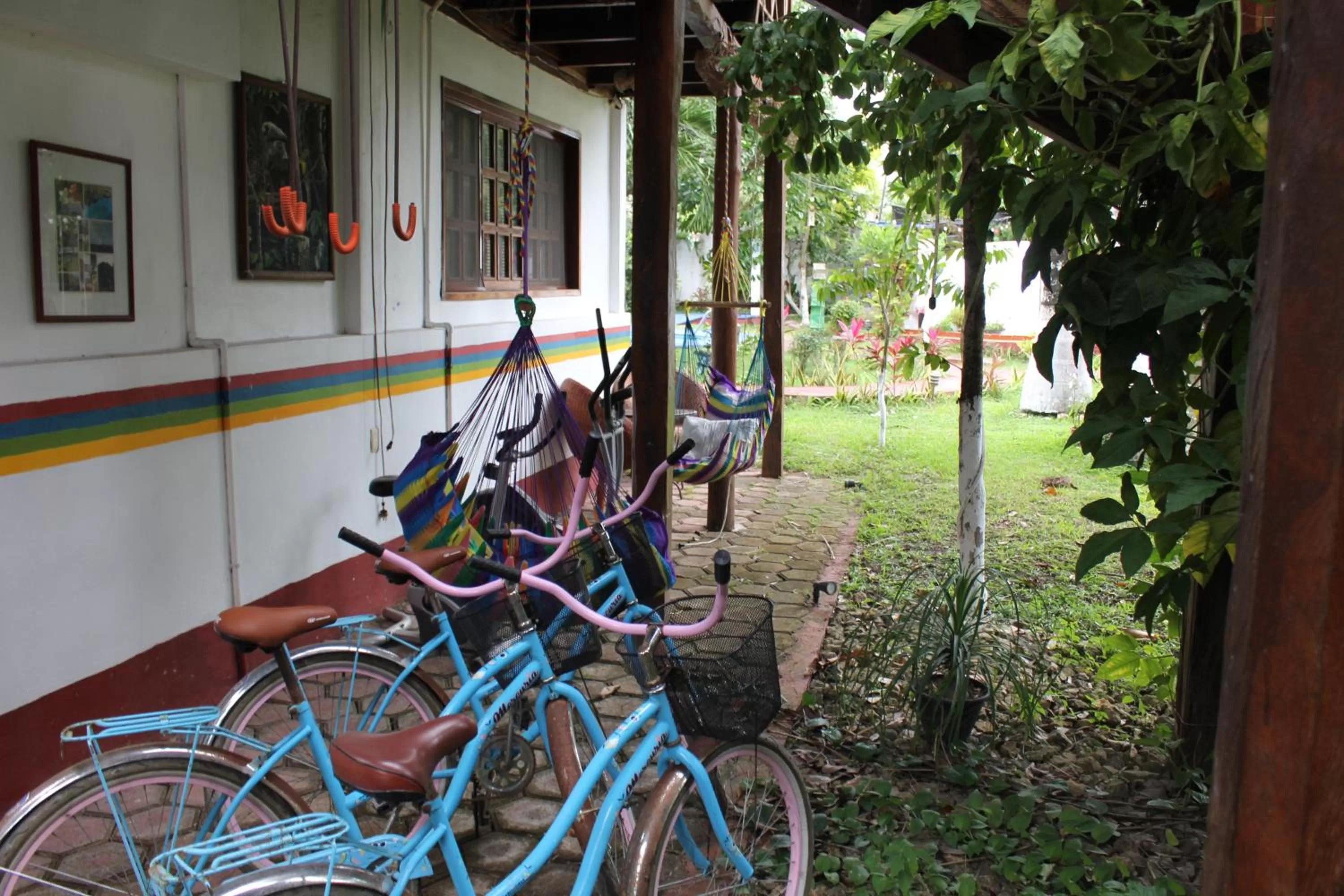 Garden in Cabañas Colibrí