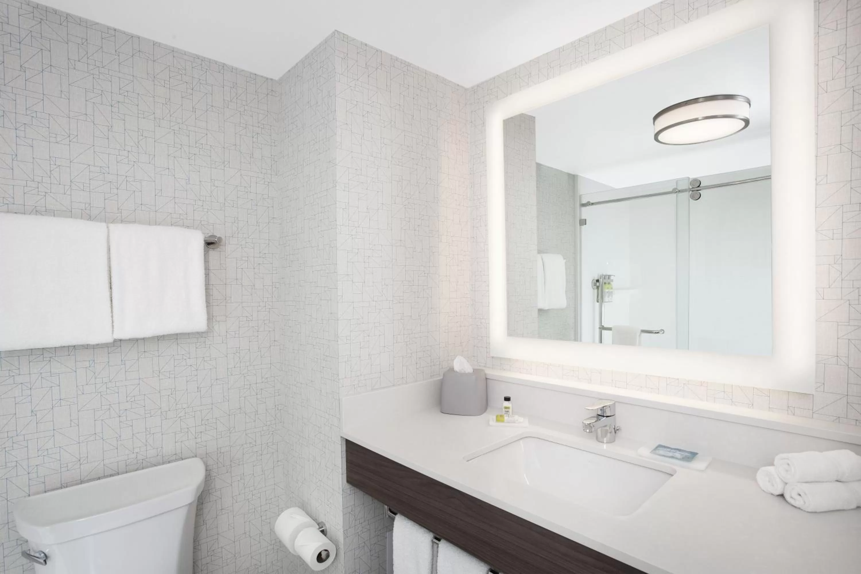 Bathroom in Holiday Inn Express Hotel & Suites Ottawa Airport by IHG