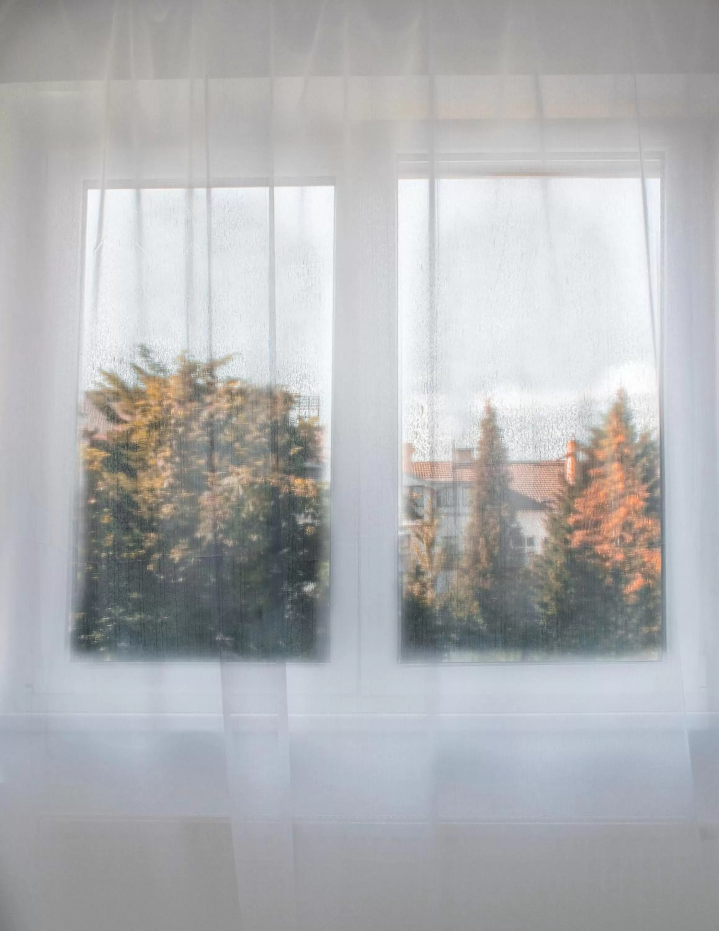 View (from property/room) in Beseda