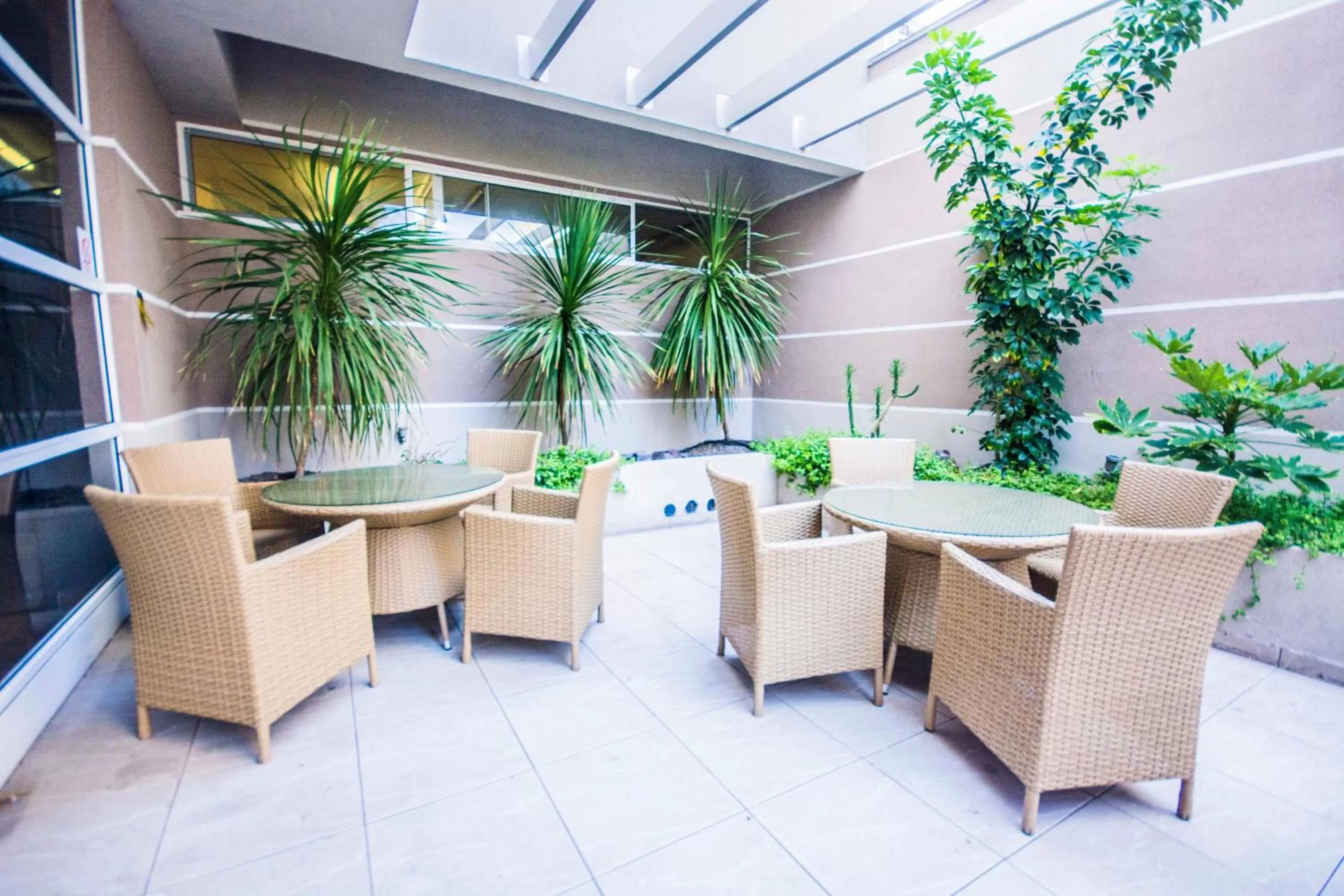 Garden in ibis Antofagasta