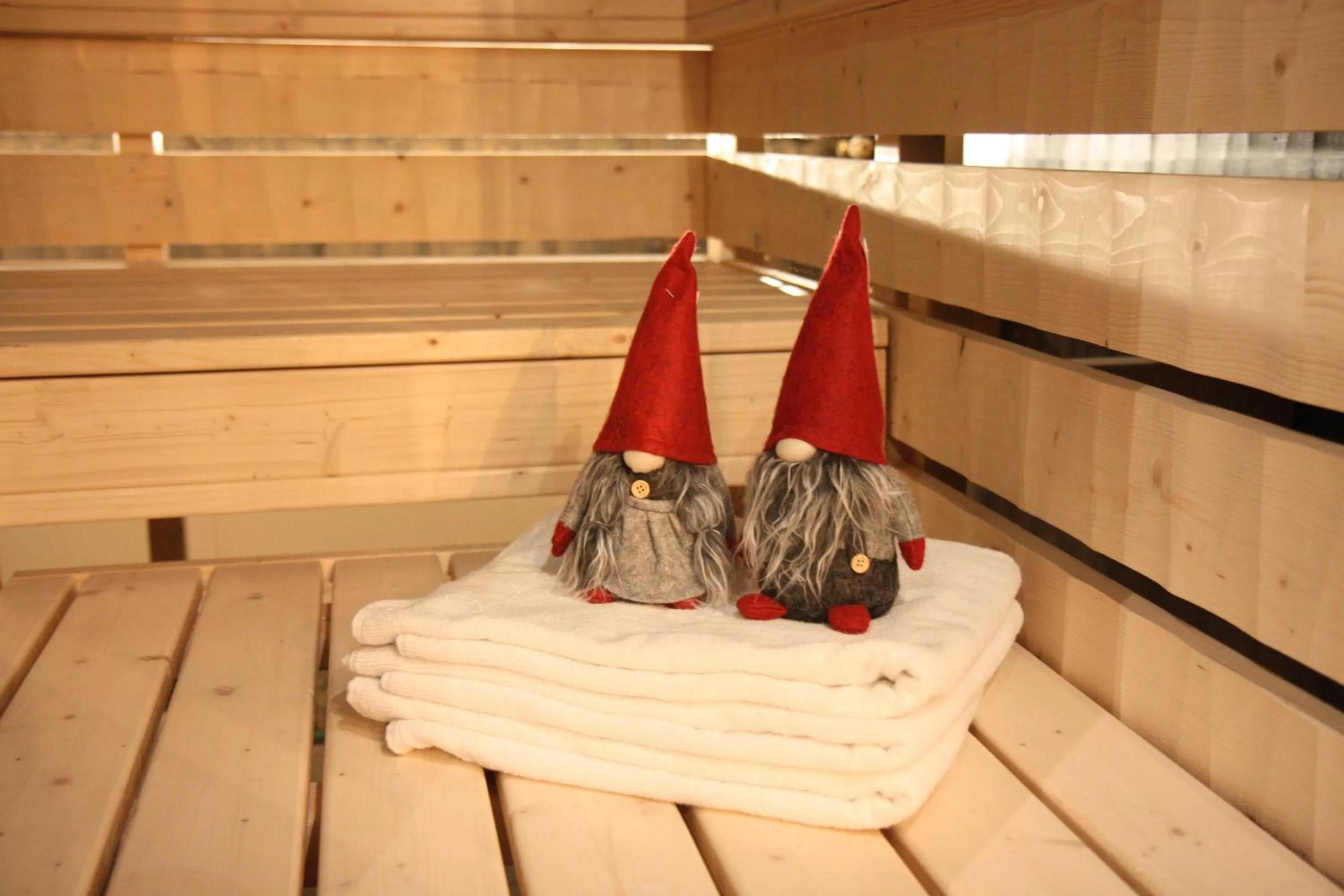 Sauna in Hotel Aakenus