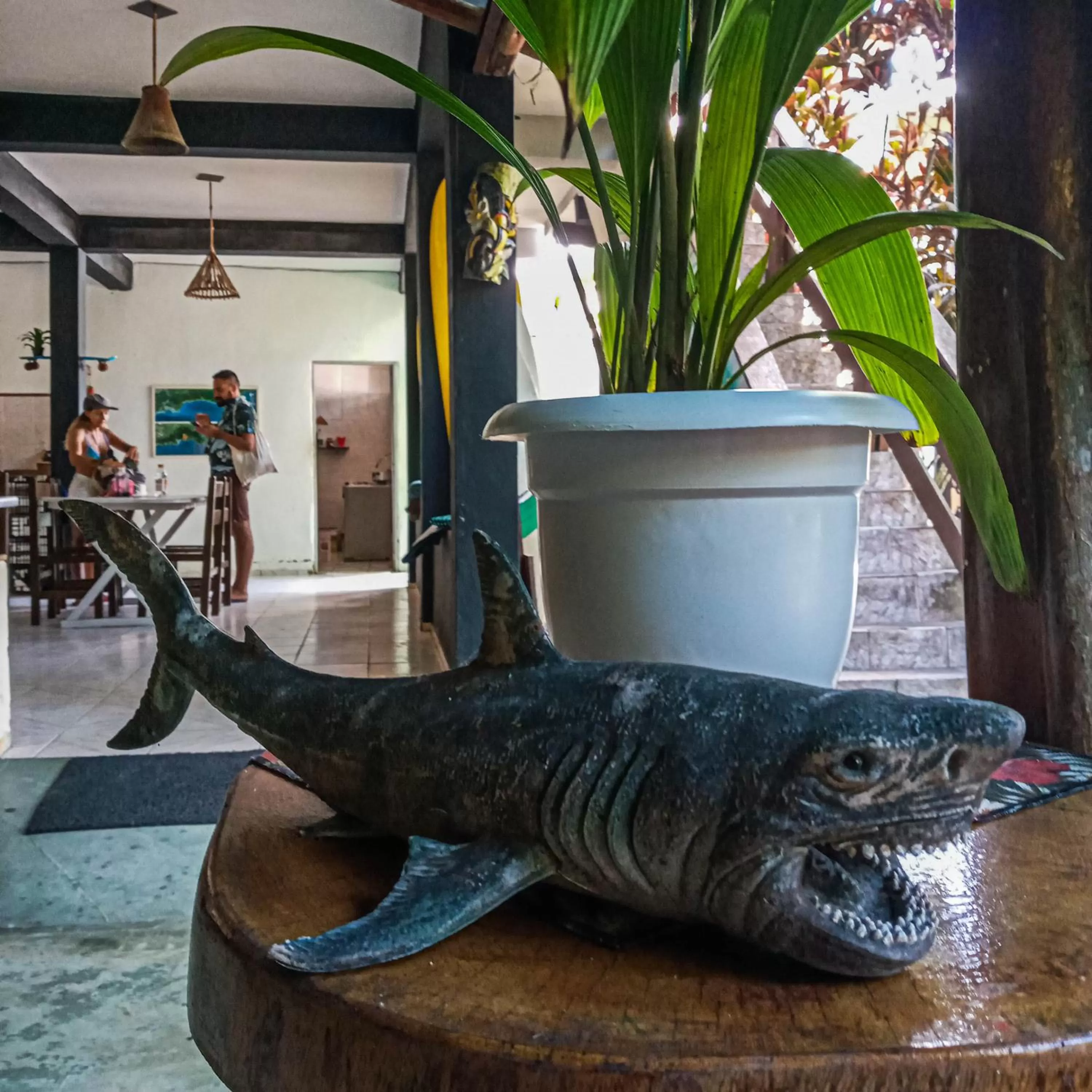 Other Animals in Pousada e Hostel Marthi