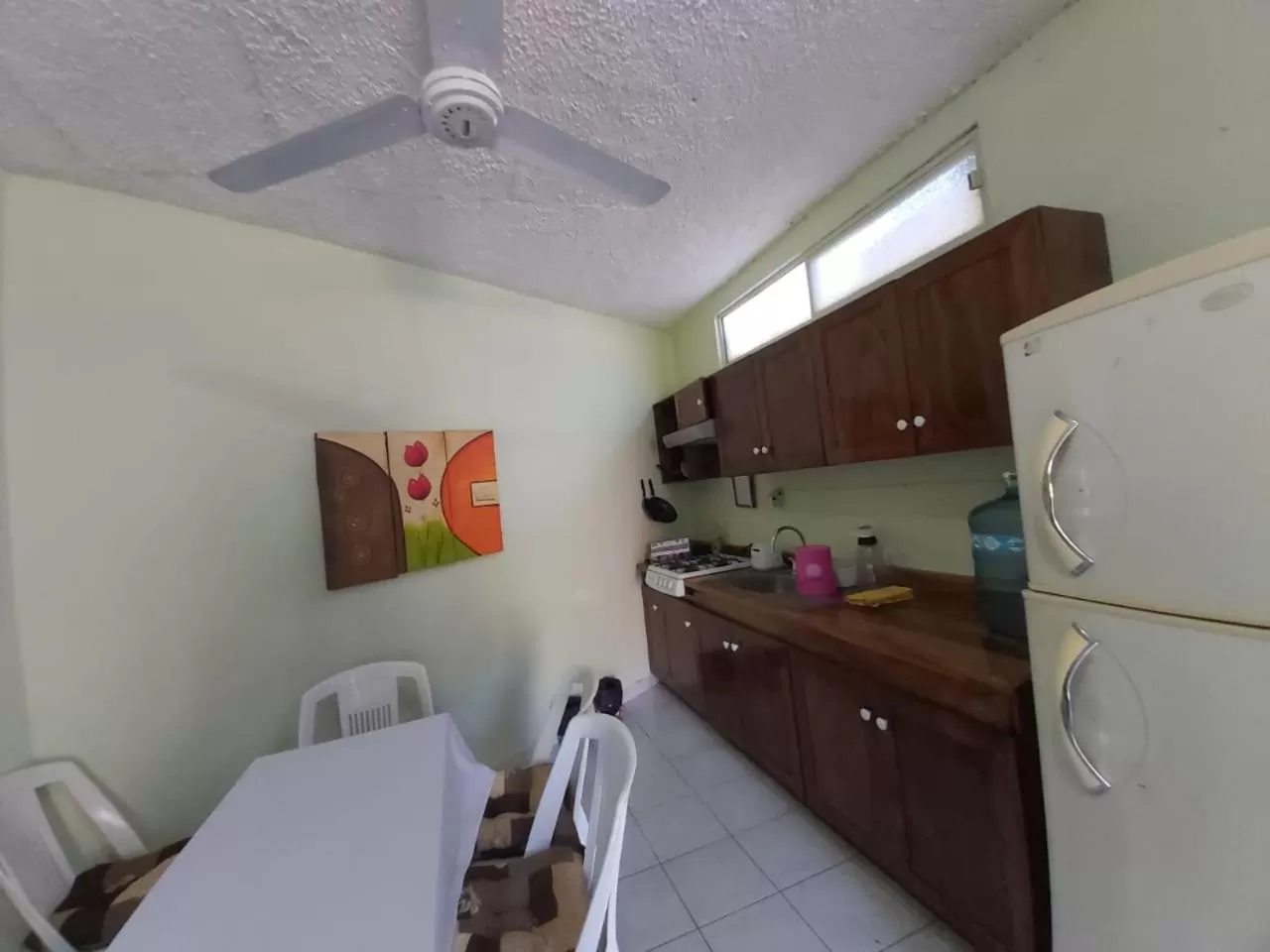 Kitchen or kitchenette in Hotel Ayalamar Manzanillo
