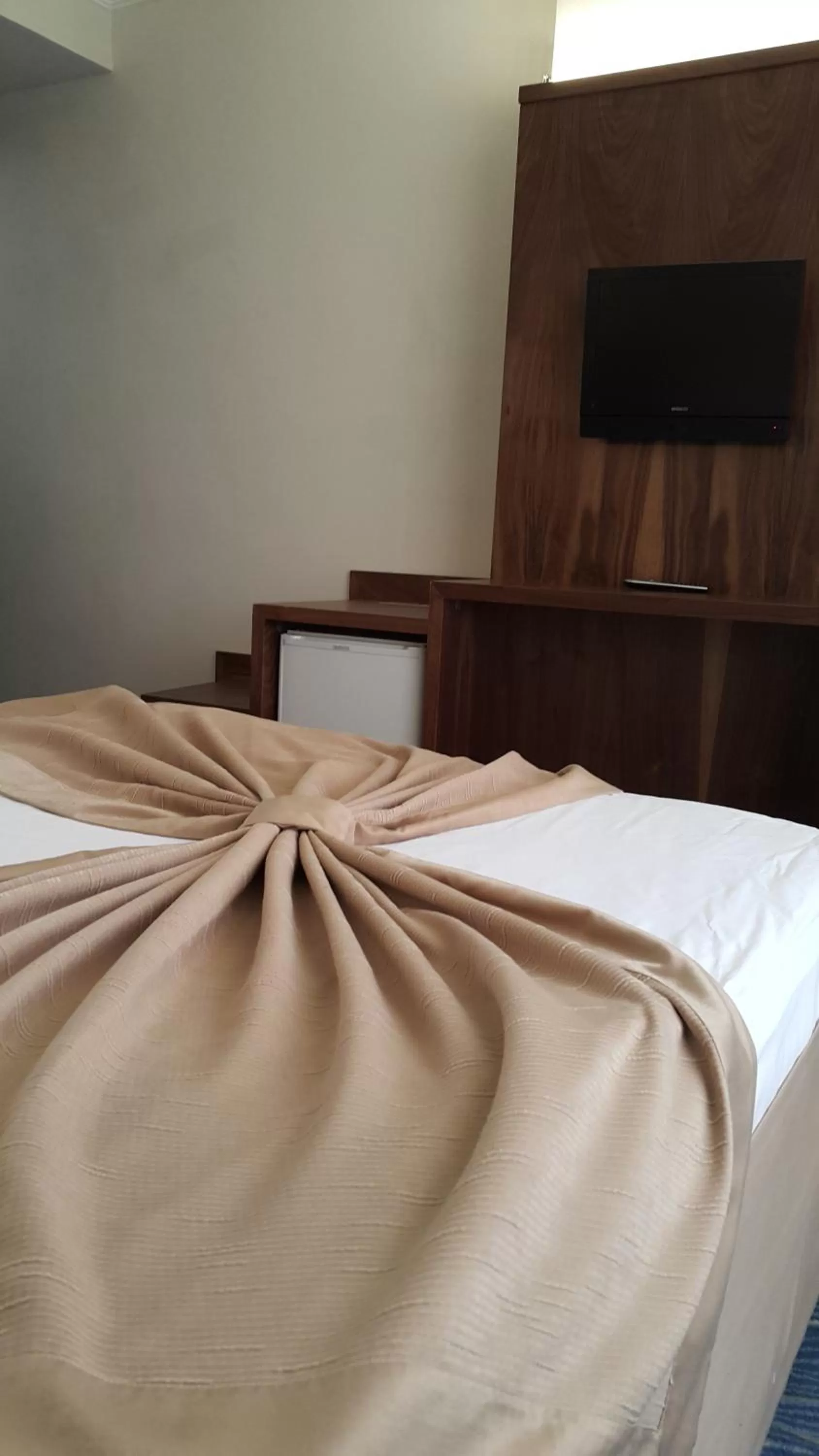 TV and multimedia, Bed in Miroglu Hotel