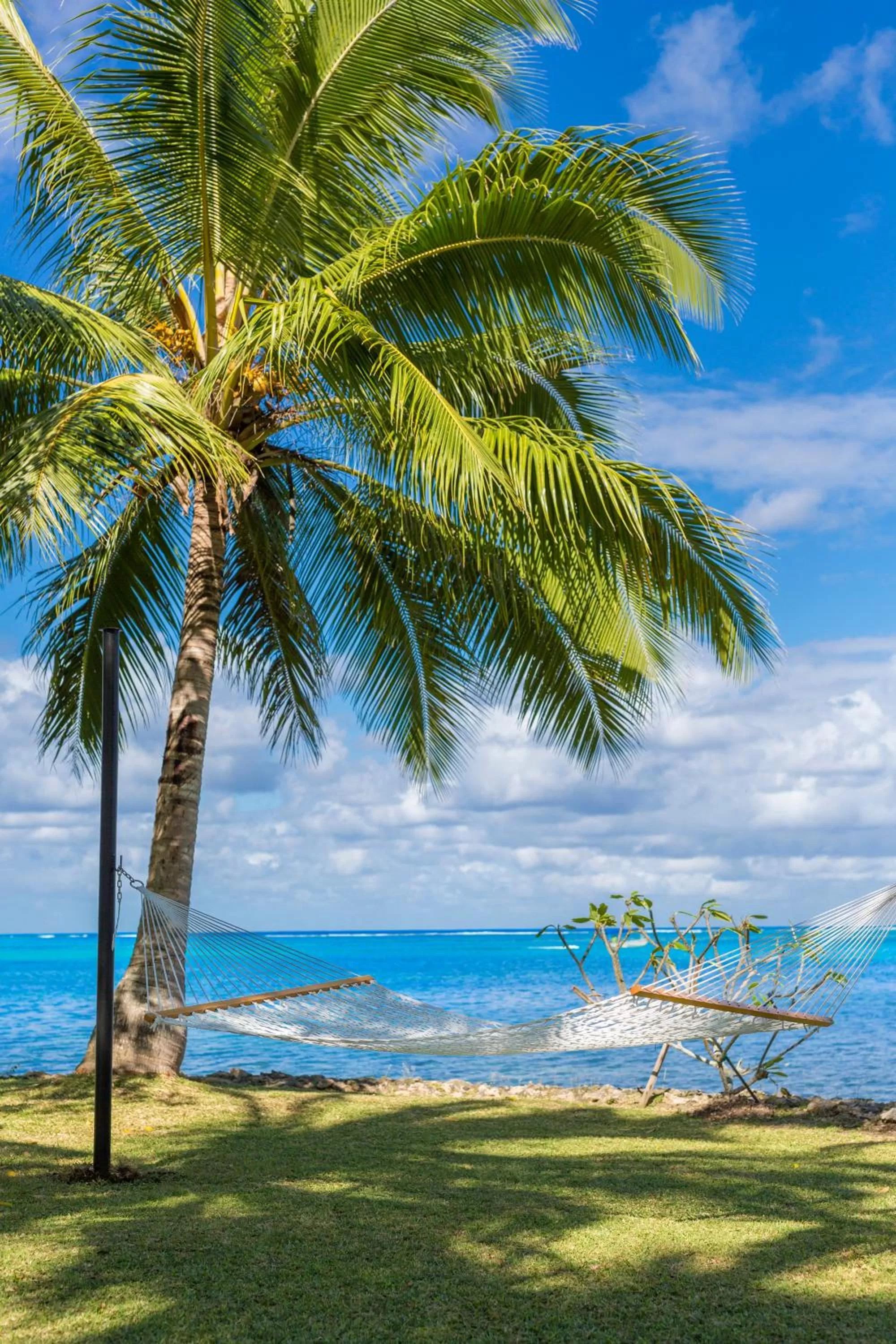 Natural landscape in Warwick Le Lagon Resort & Spa, Vanuatu