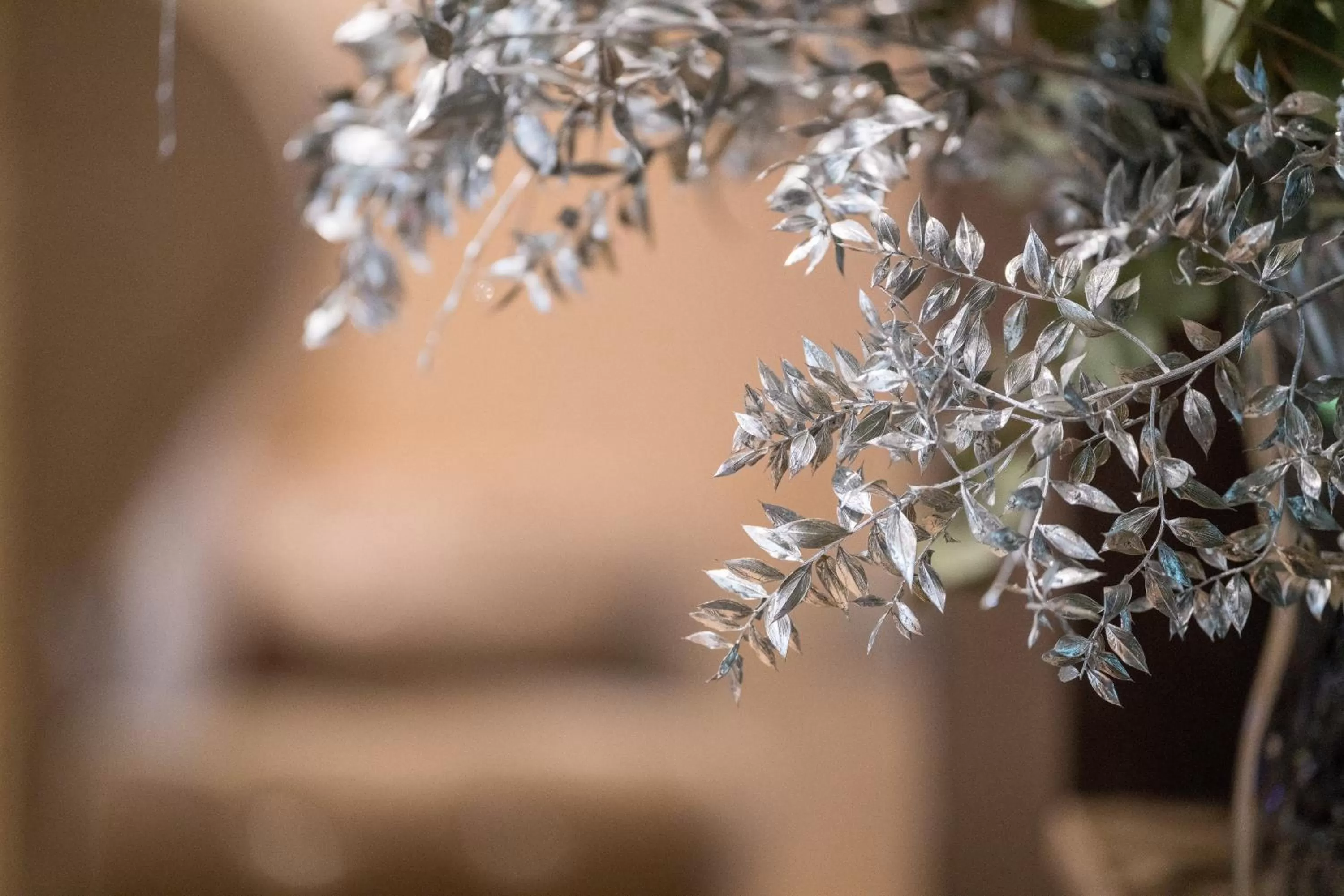 Decorative detail in B Montmartre