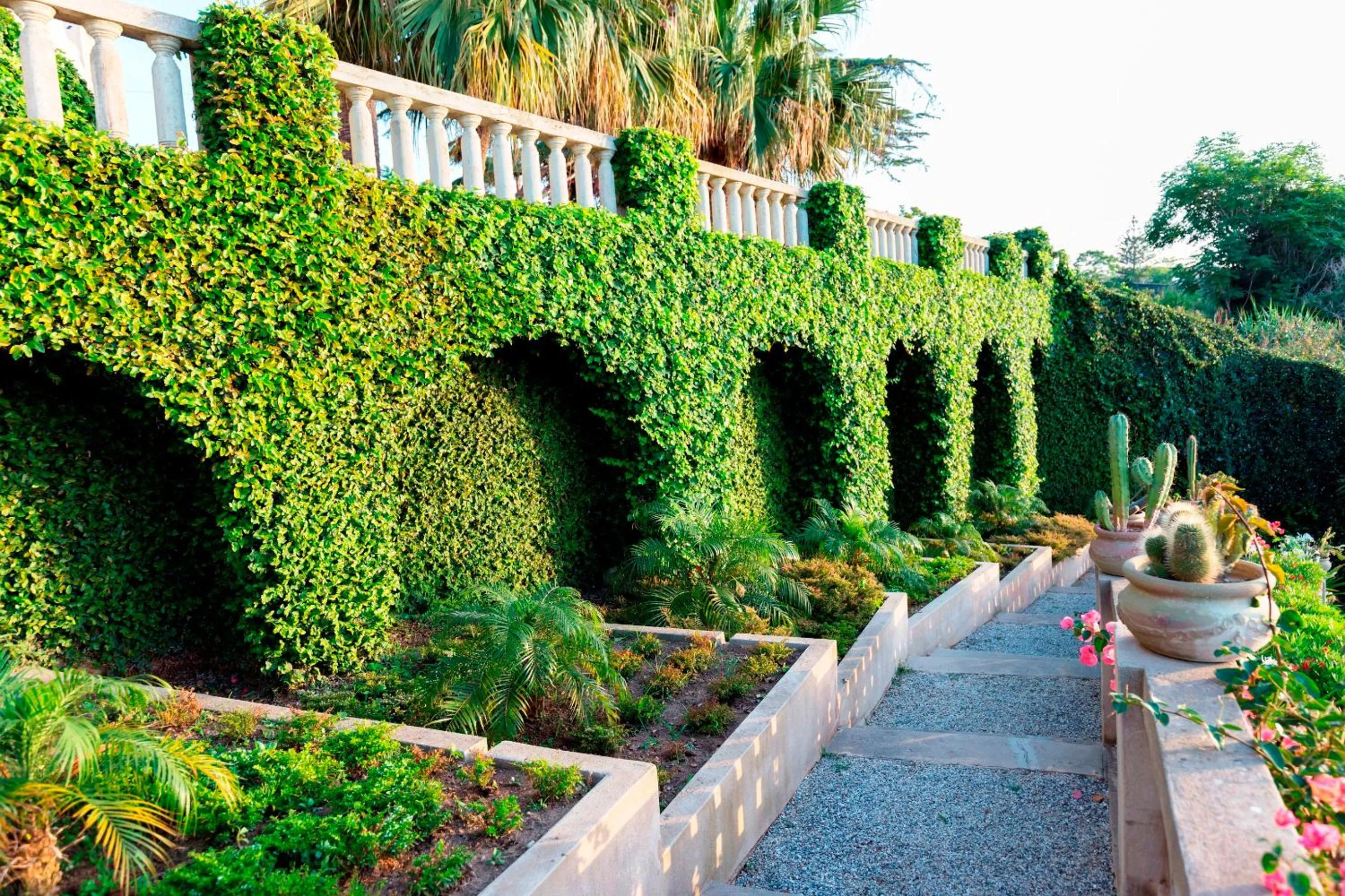 Garden in Villa Paola